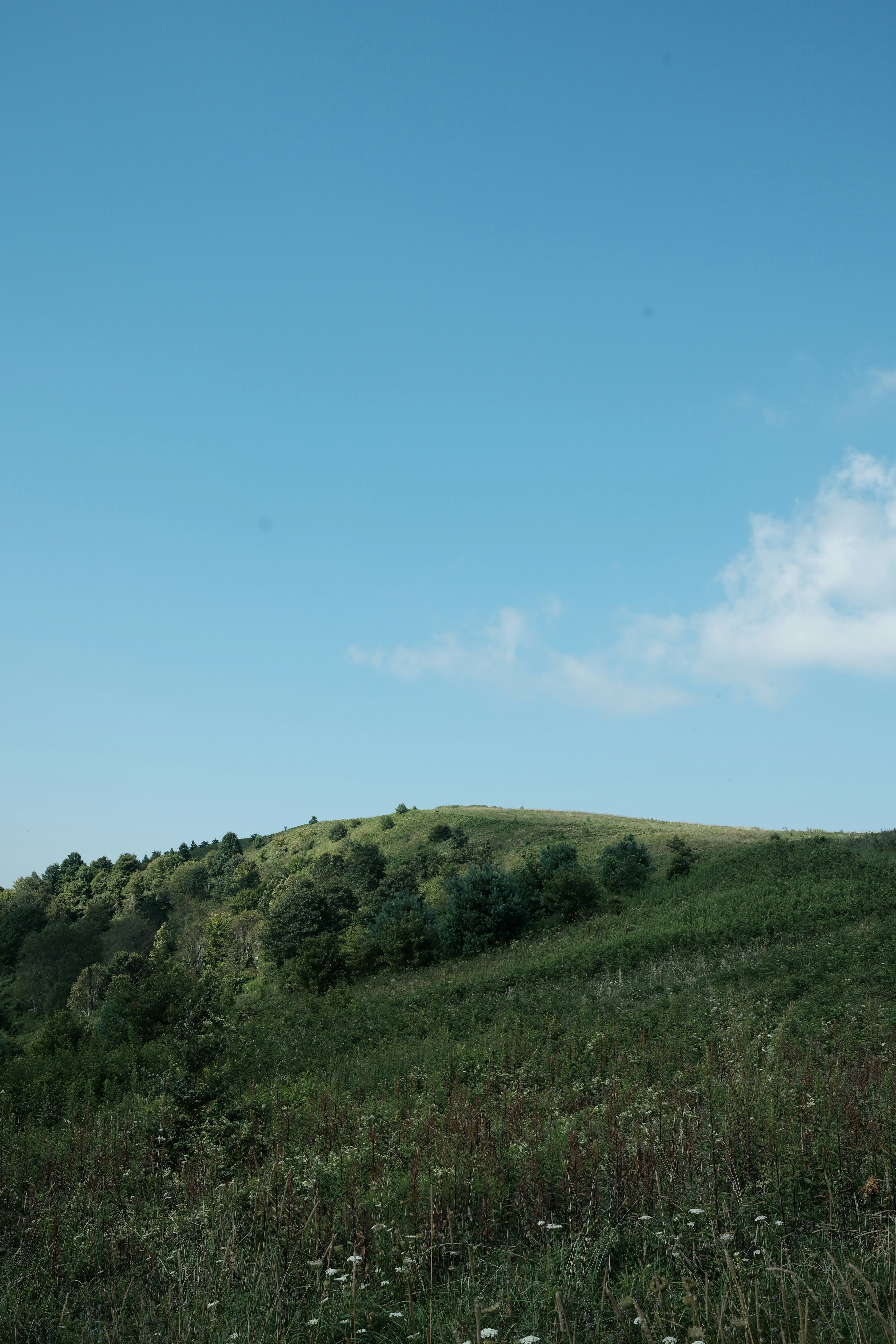 Photo by leonbredella