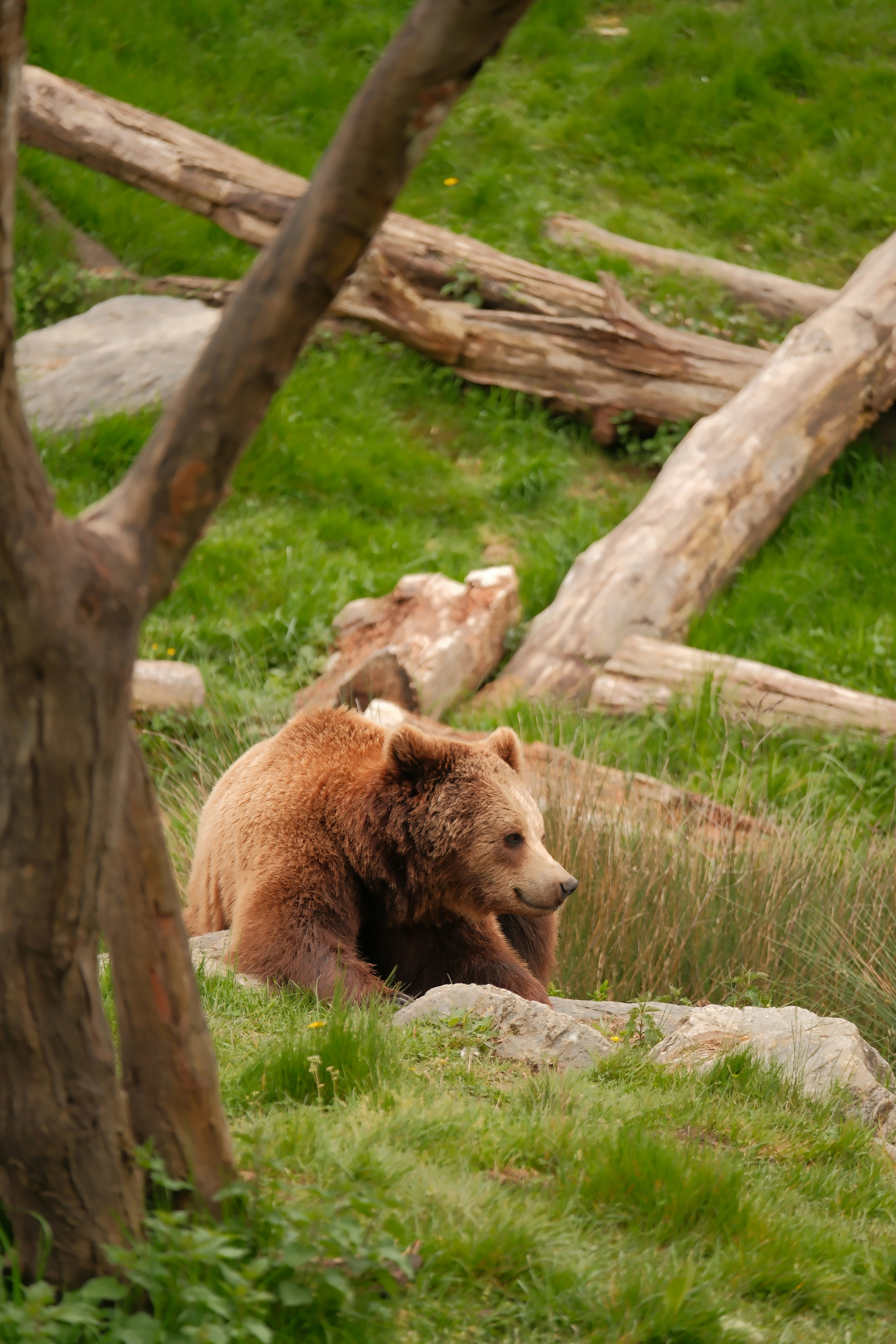 photo-1757883074664-73c77faf4e89?ixid=M3wxMjA3fDB8MXxzZWFyY2h8MTV8fCVFMCVCOSU4MCVFMCVCOCVBNyVFMCVCOSU4NyVFMCVCOCU5QSVFMCVCOCVBQiVFMCVCOCVBMSVFMCVCOCVCNSVFMCVCOCVBQSVFMCVCOCVCNSVFMCVCOCU4QSVFMCVCOCVBMSVFMCVCOCU5RSVFMCVCOCVCOXxlbnwwfHx8fDE3NjEwNzAzMzR8MA\u0026ixlib=rb-4.1.0