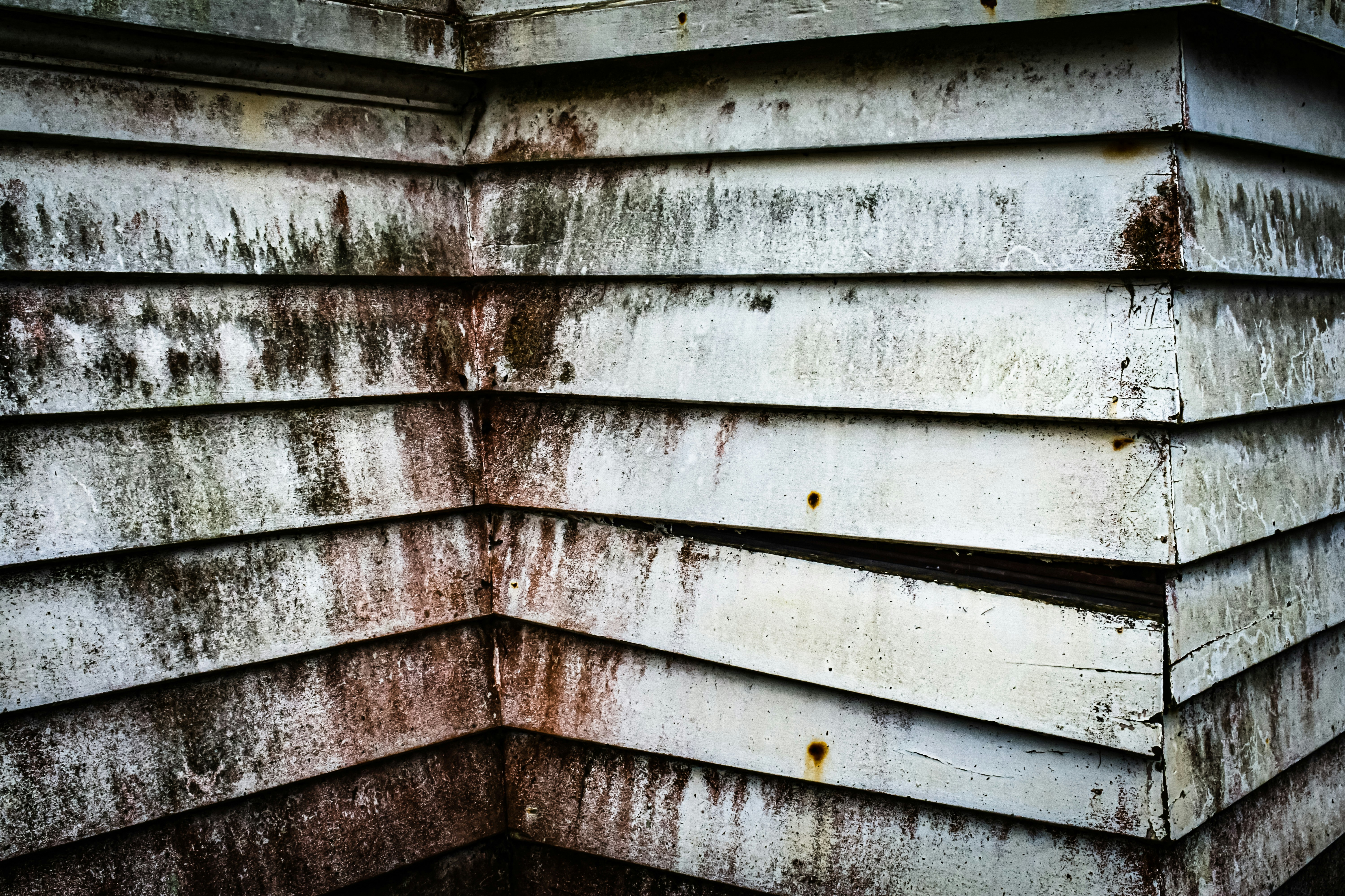 Photo by sschusterphotoart