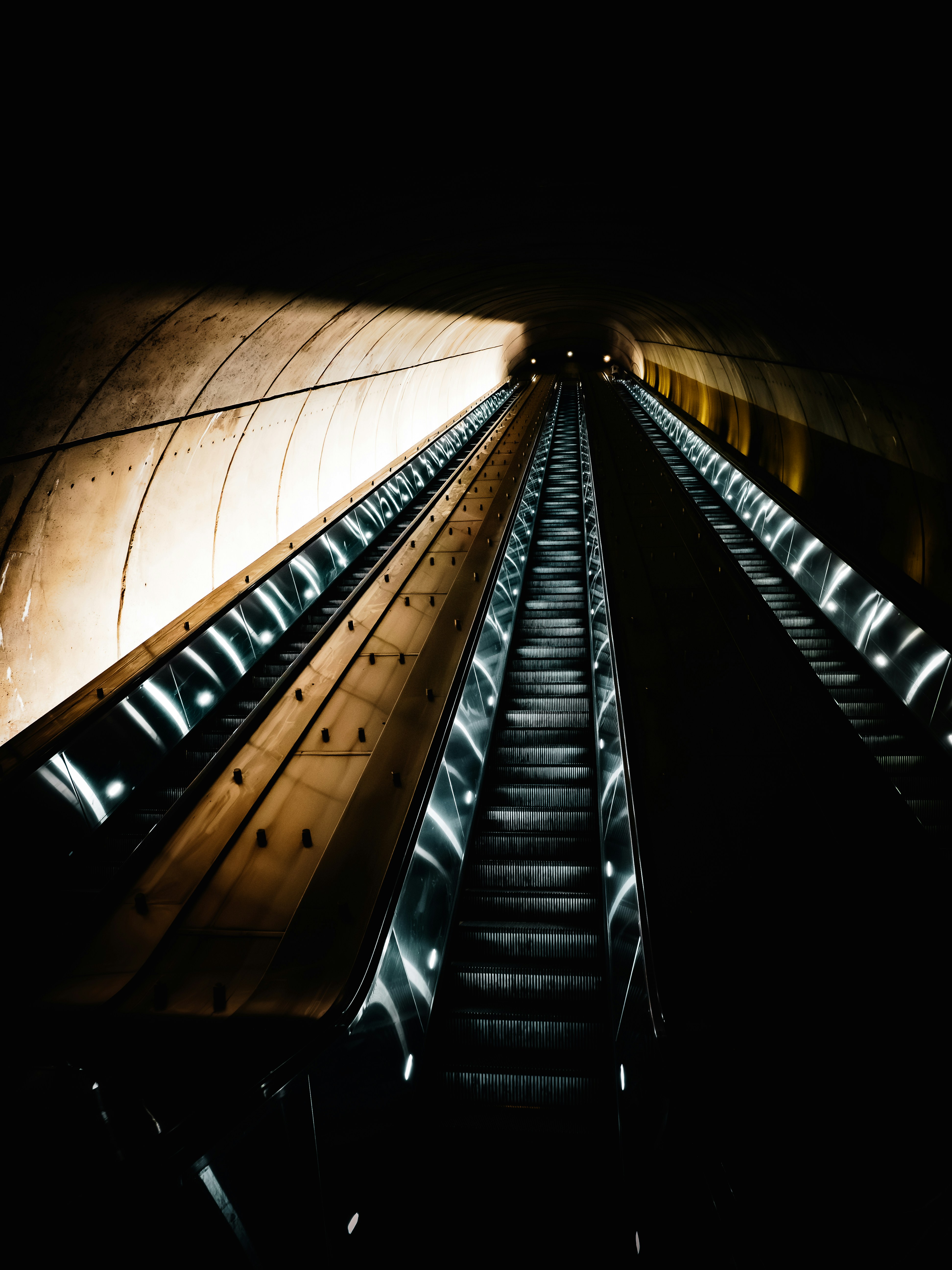 Photo by sschusterphotoart