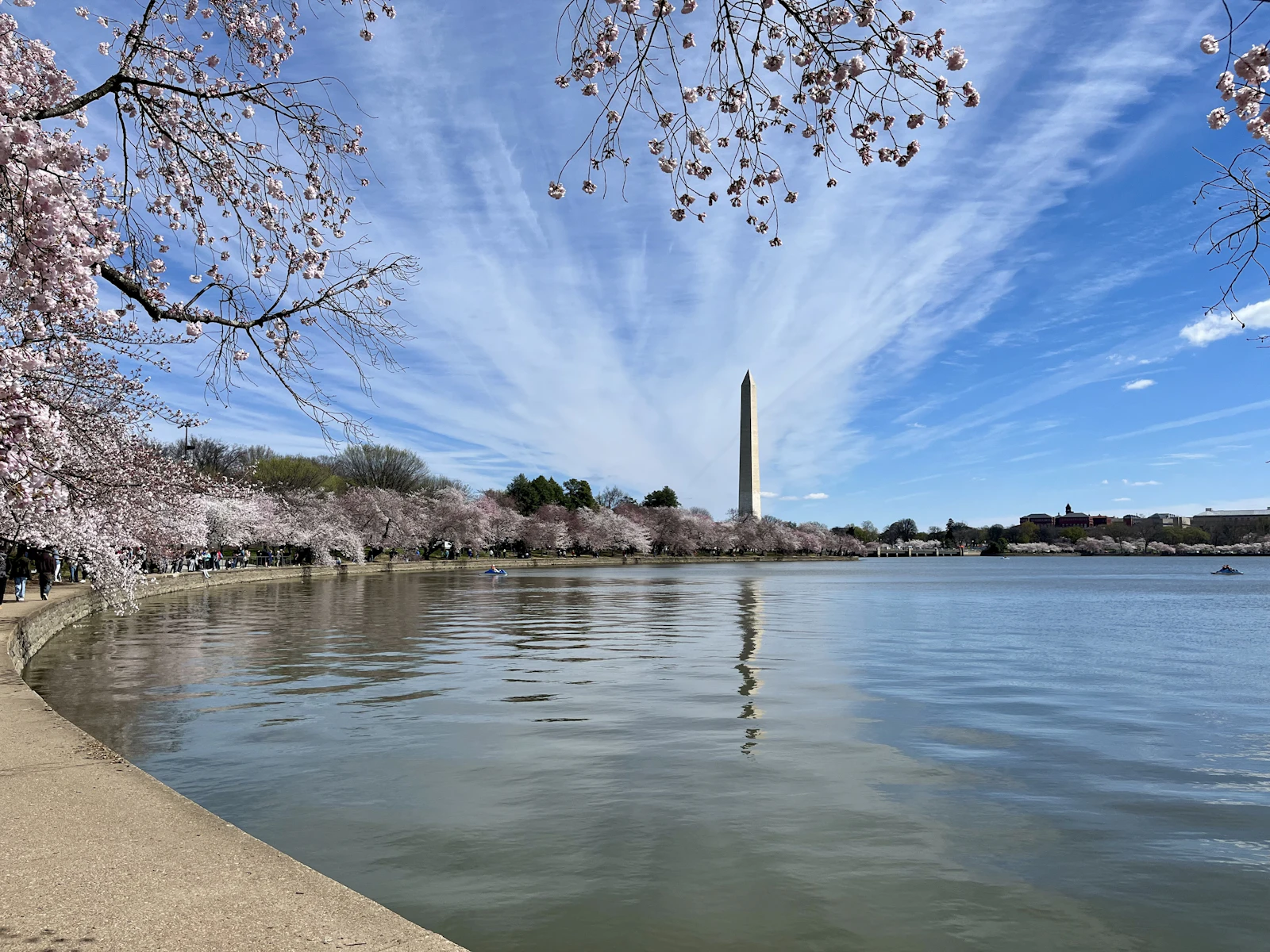 Cherry blossoms around the Tidal Basin and Washington Monument, Washington, D.C.