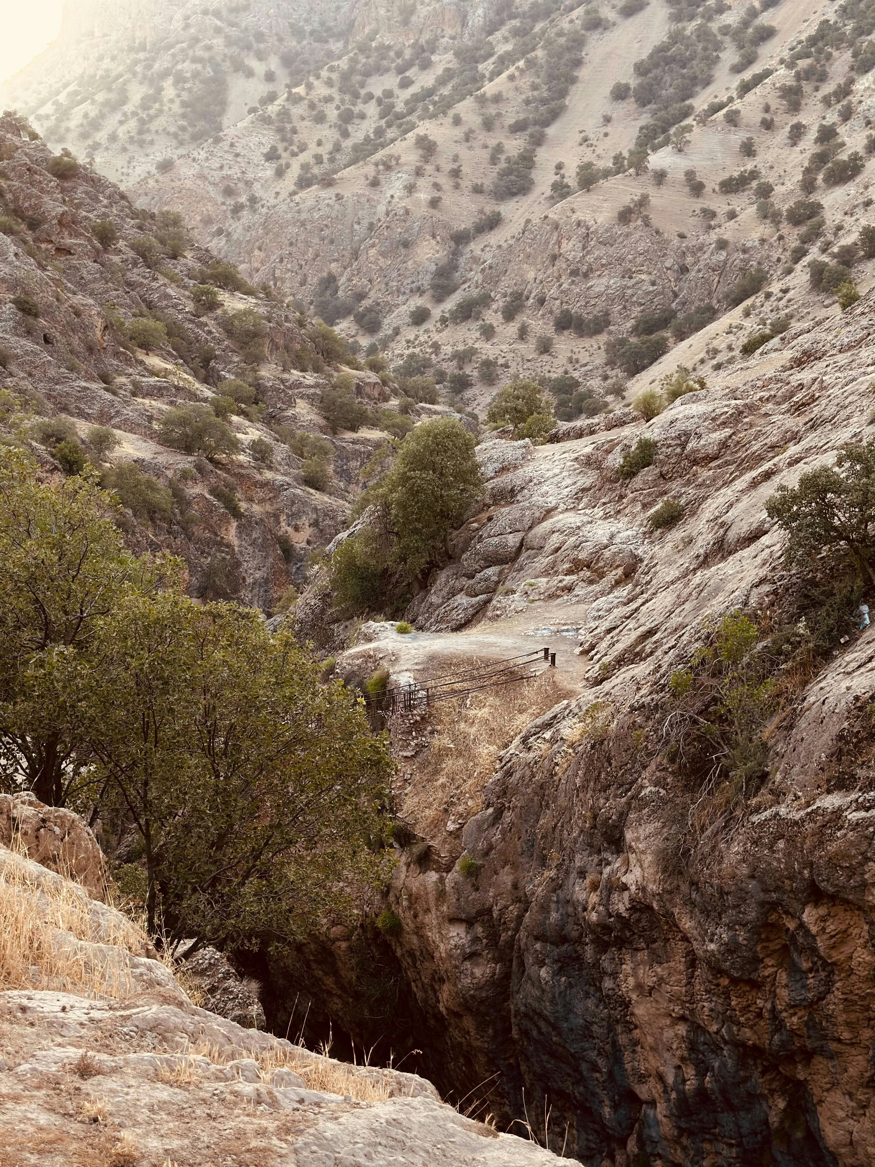 Photo by arefmehdipour