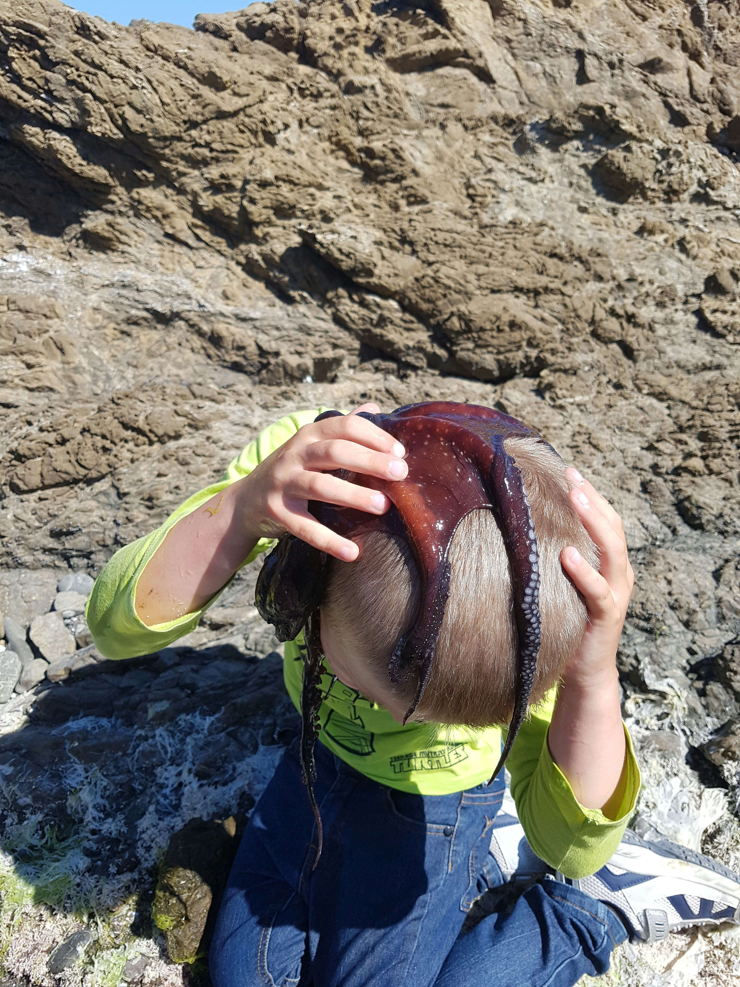 Child holding a large octopus on rocky shore