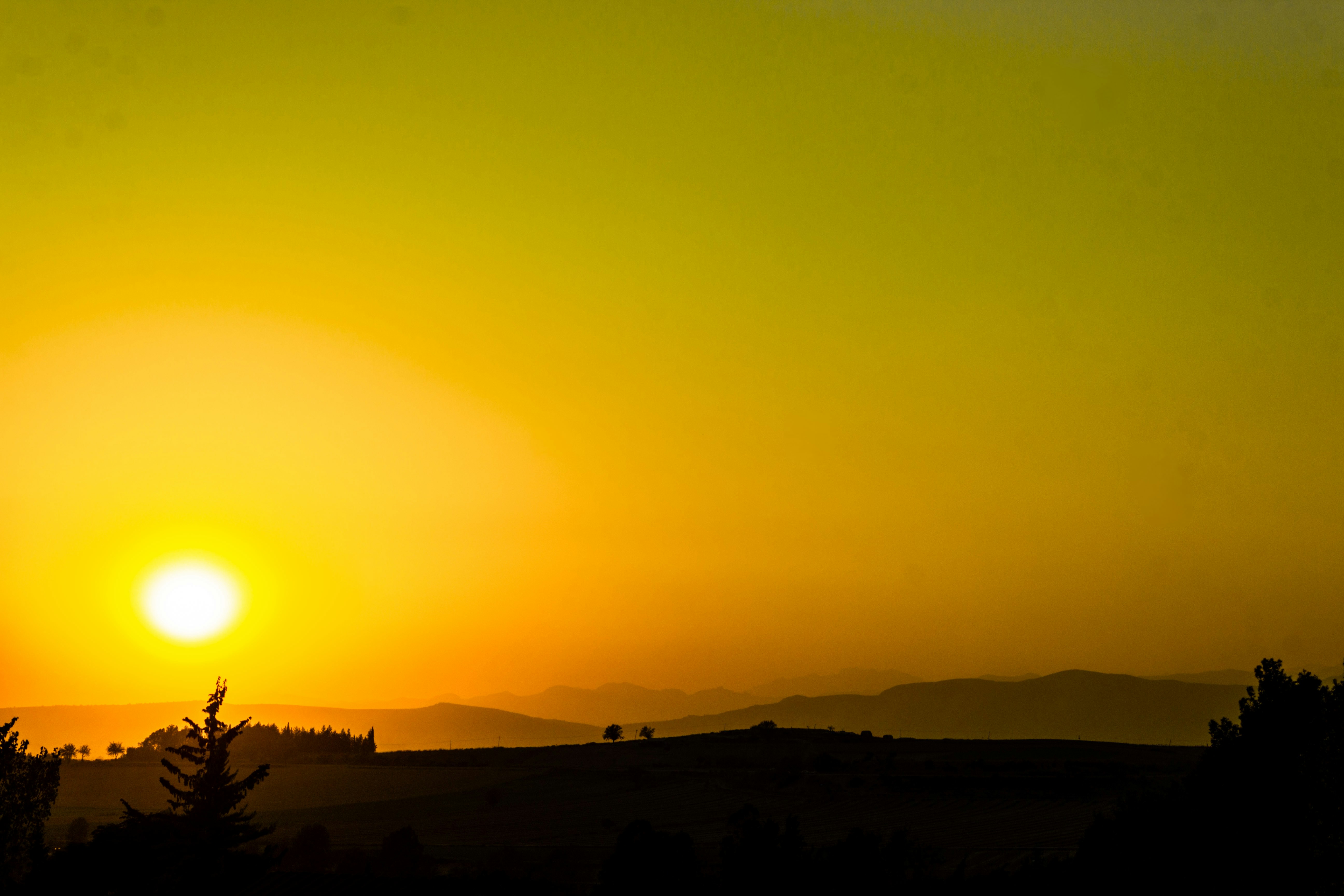 Photo by kadirsahinby