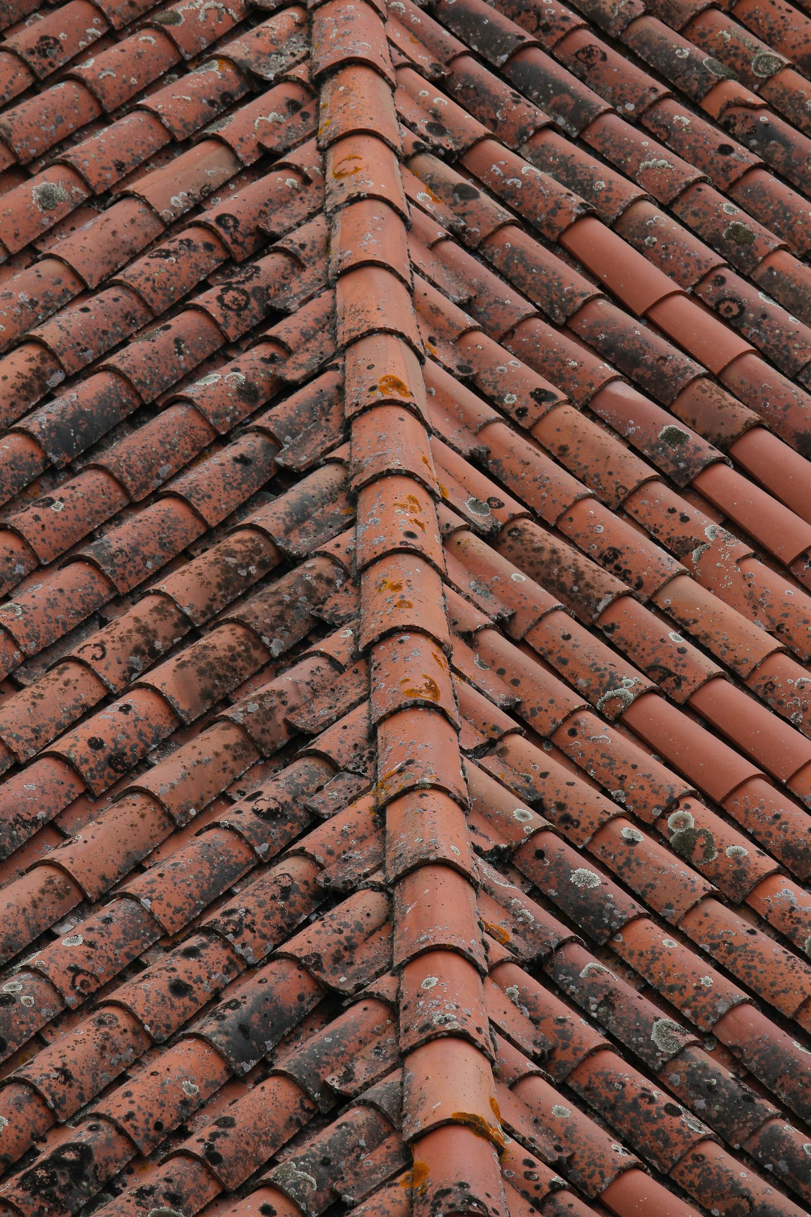Roof apex with ridge tiles on a UK home