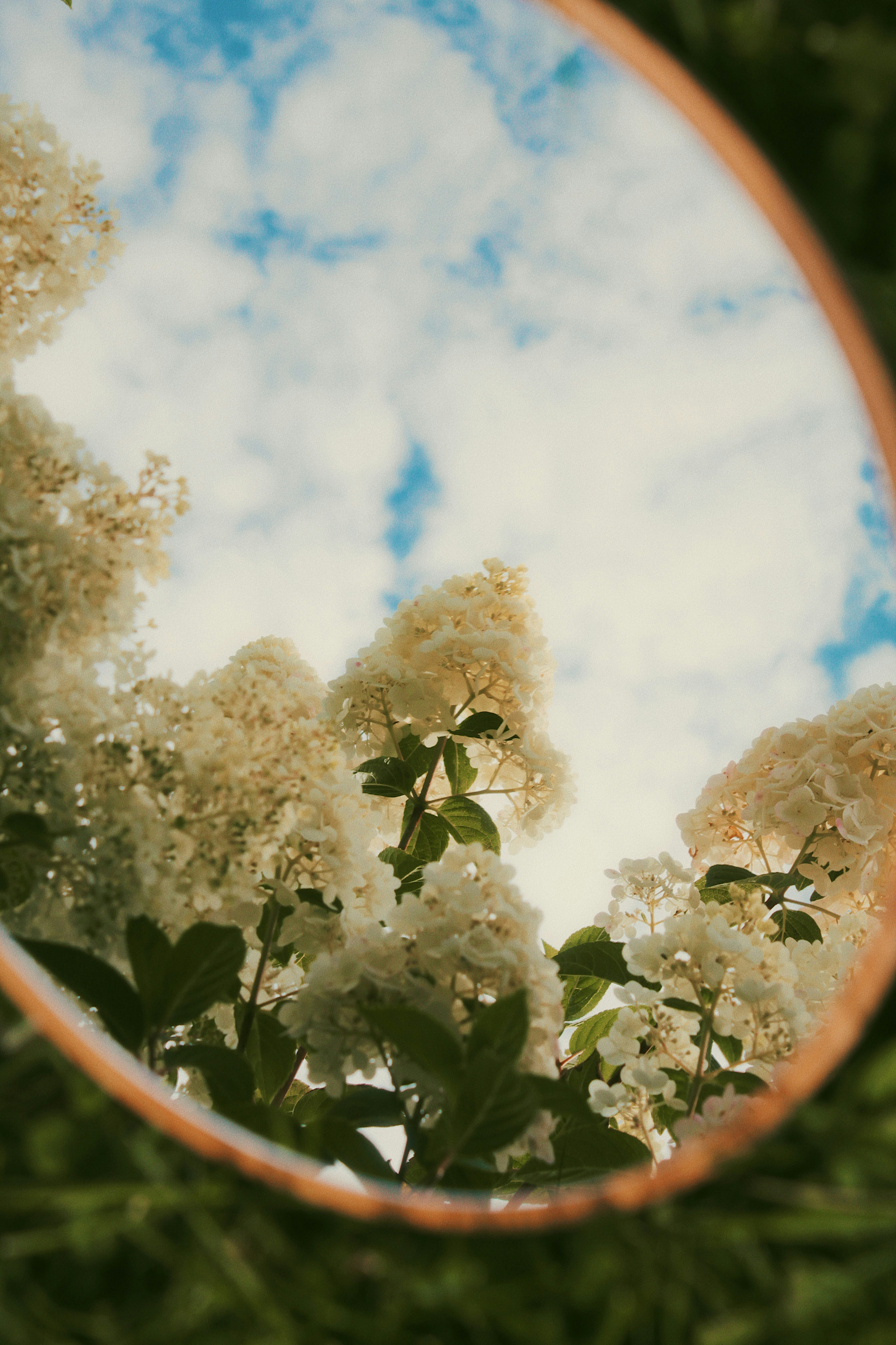 Photo by katherinestpierre