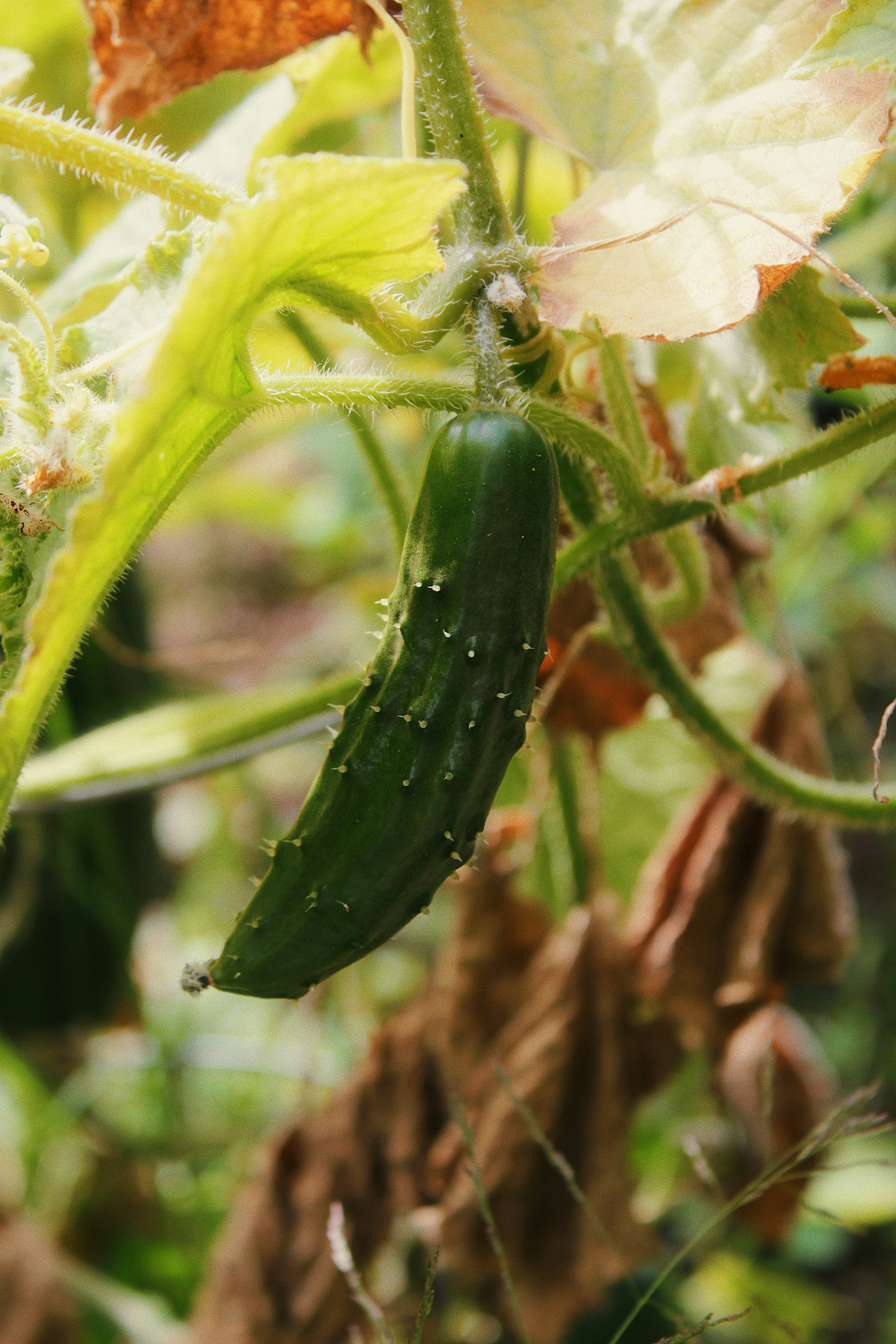 Photo by katherinestpierre