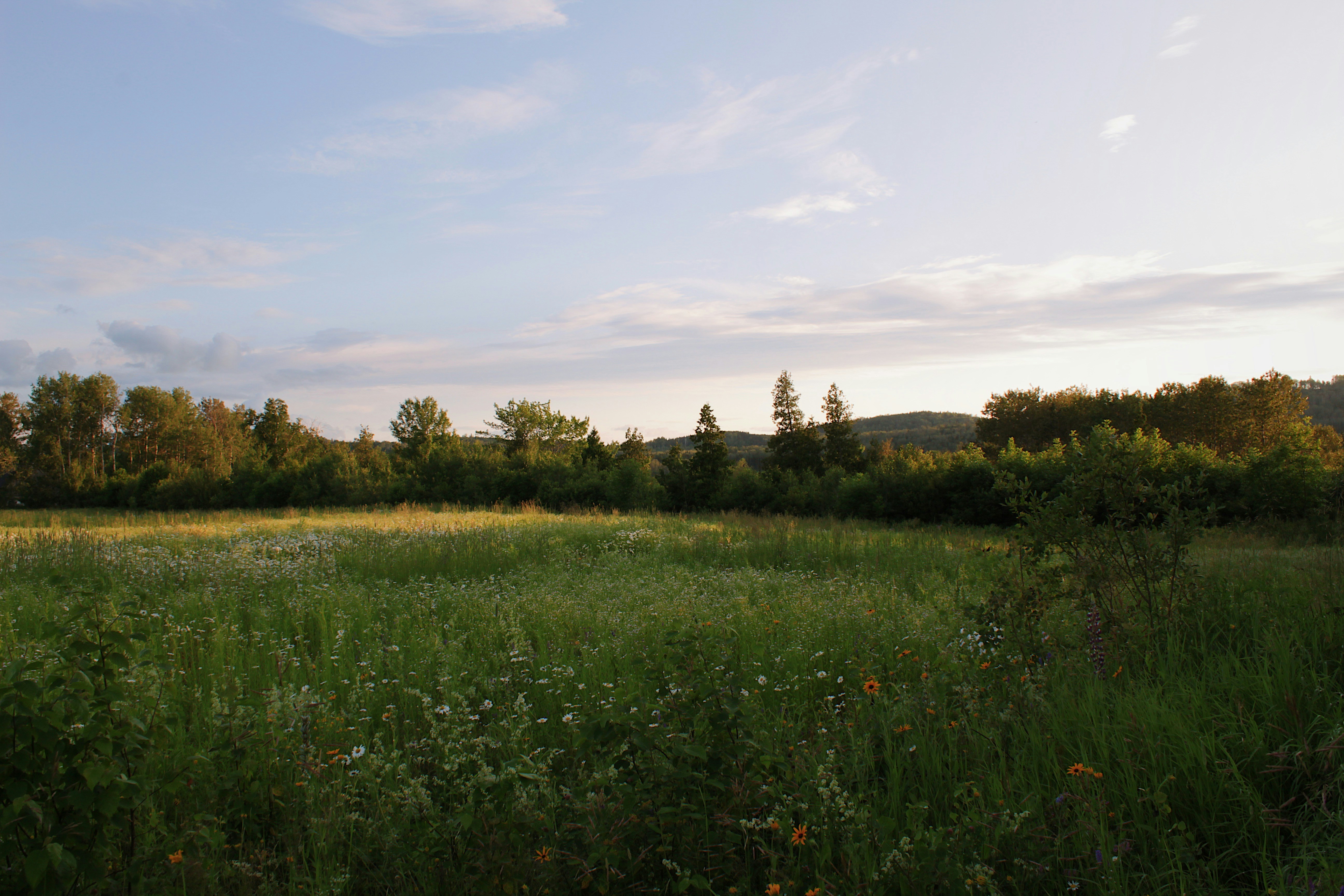 Photo by katherinestpierre