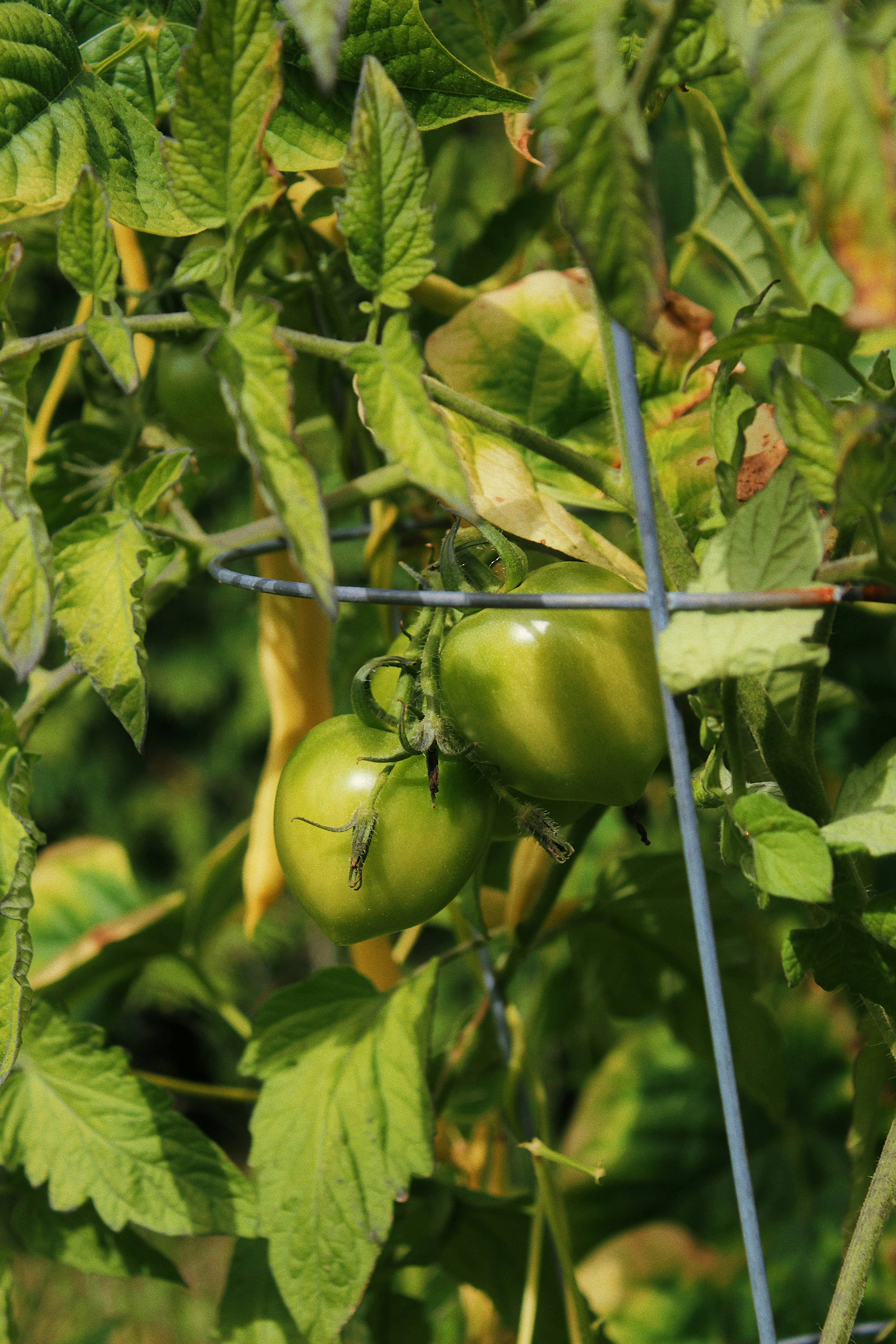 Photo by katherinestpierre