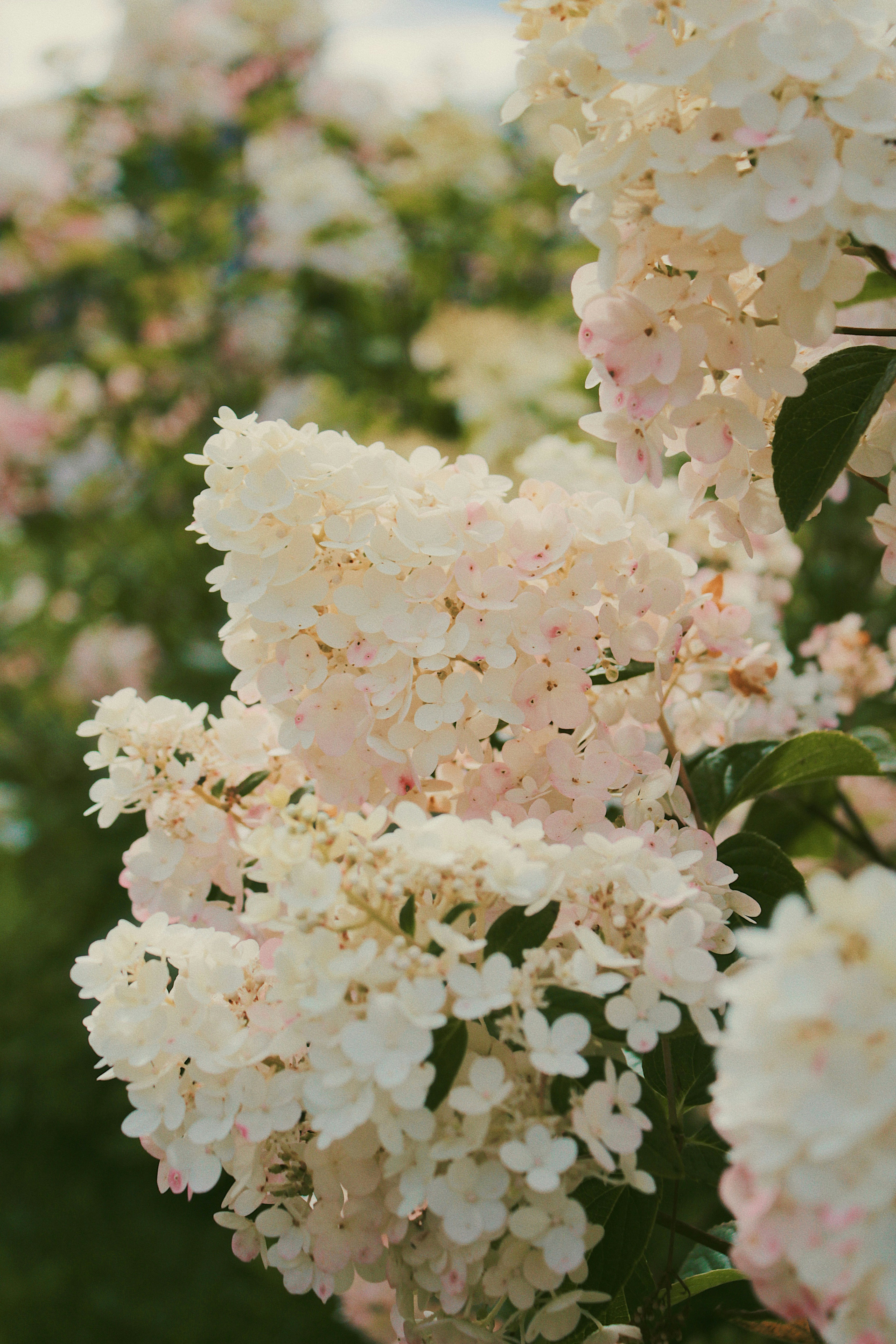 Photo by katherinestpierre