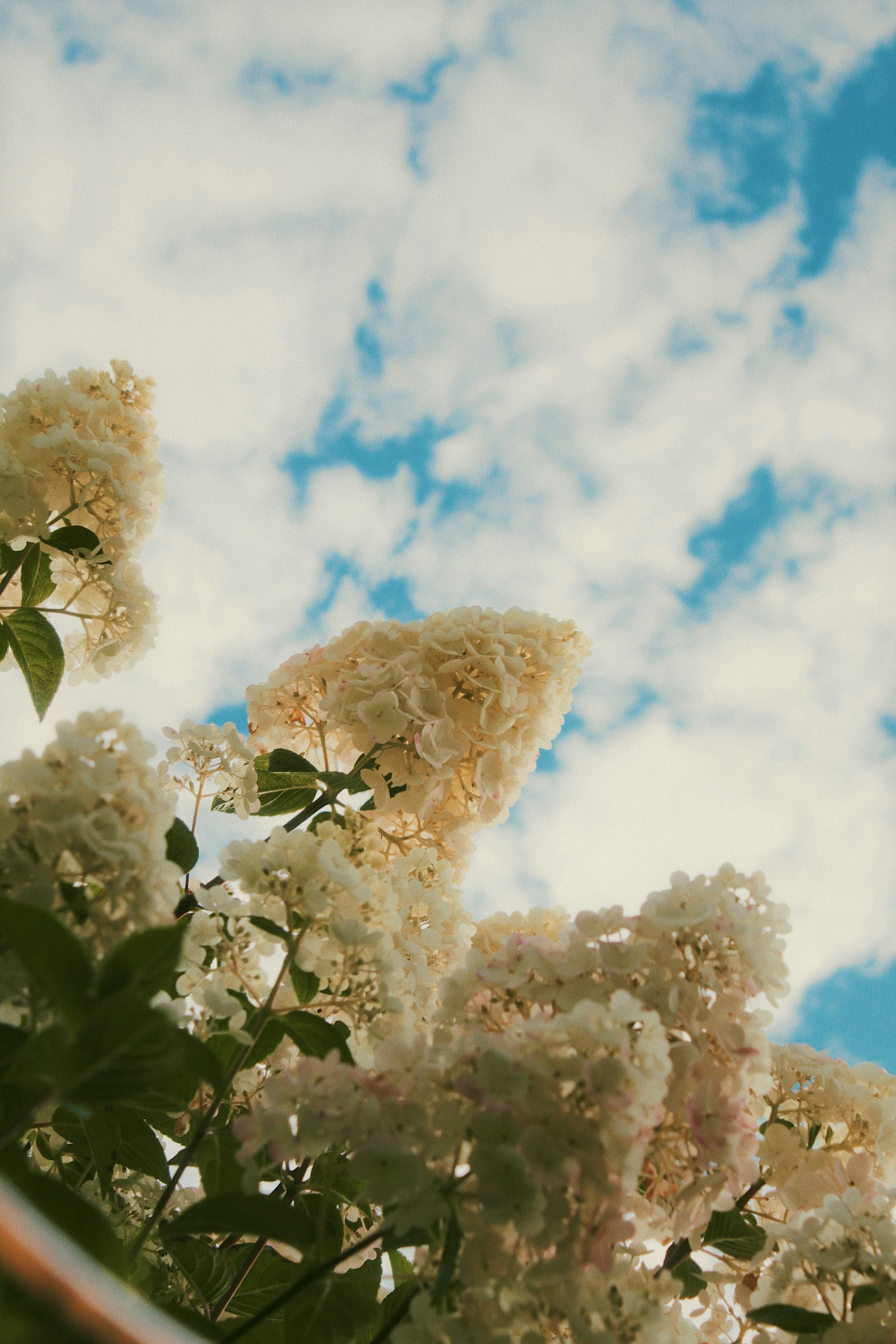 Photo by katherinestpierre