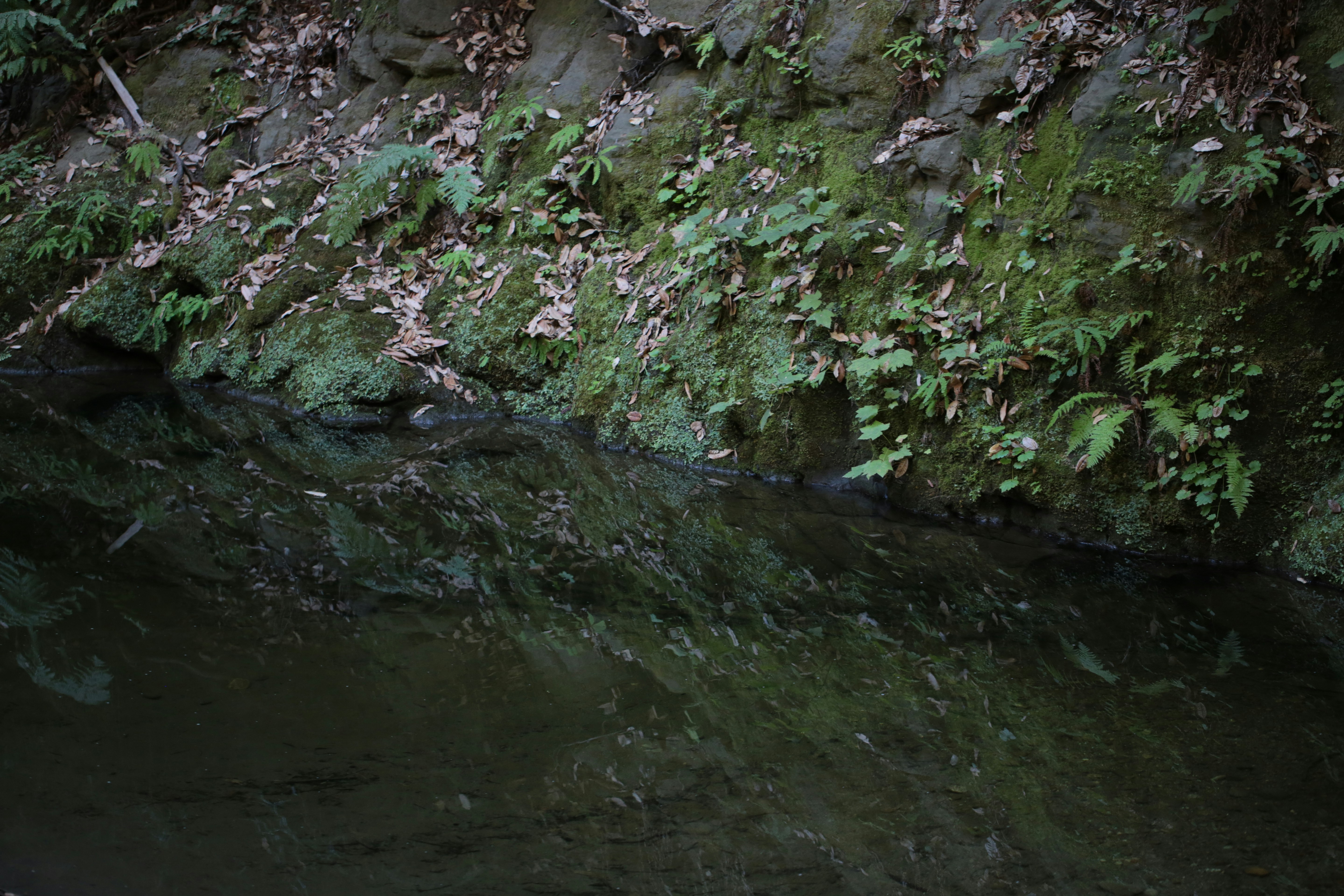 Semaglutide in Trapper Creek, Alaska: Seasonal Habits, Local Food Realities, and a Practical Path to Consistency