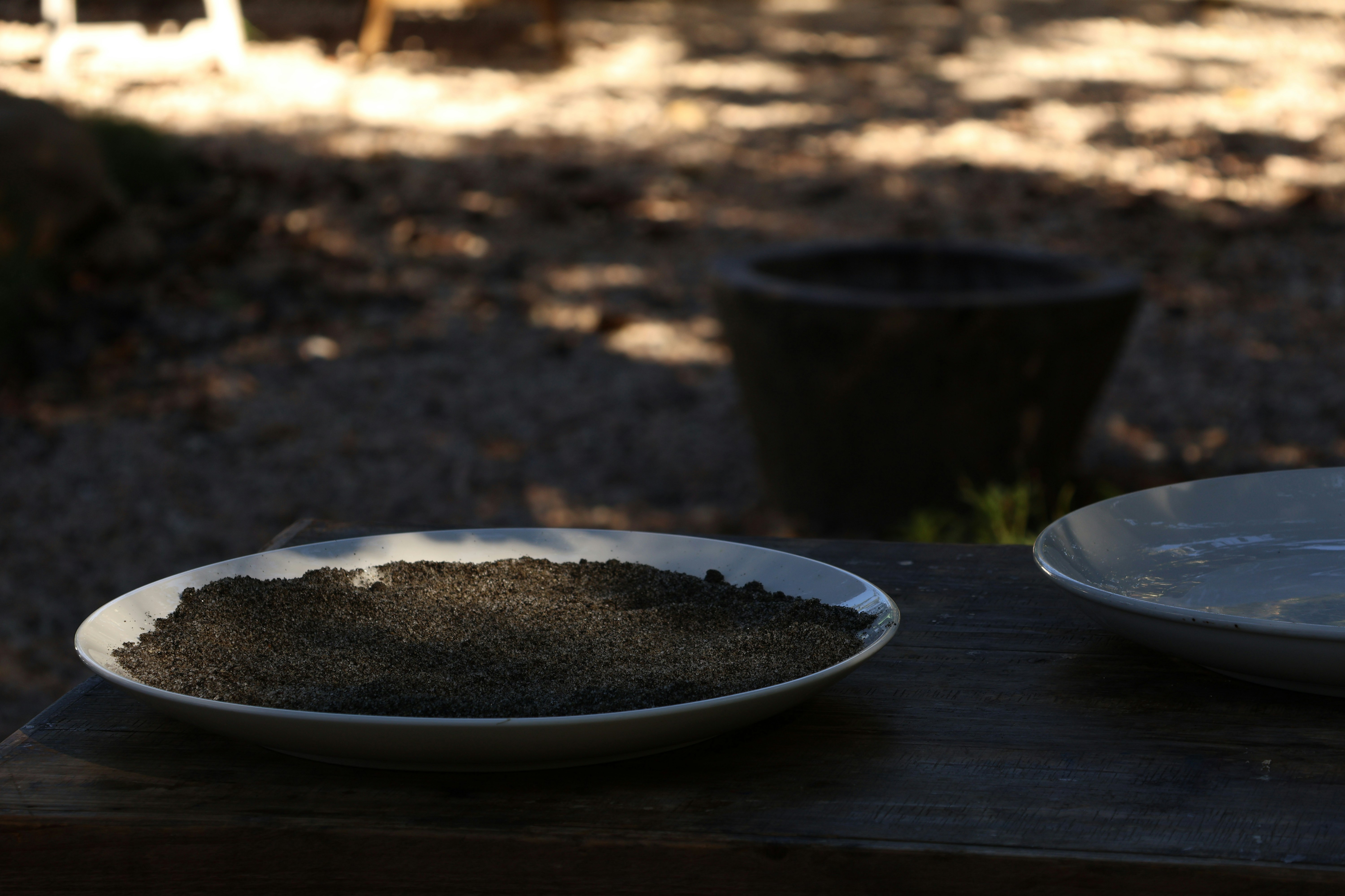 A shallow dish filled with dark soil.