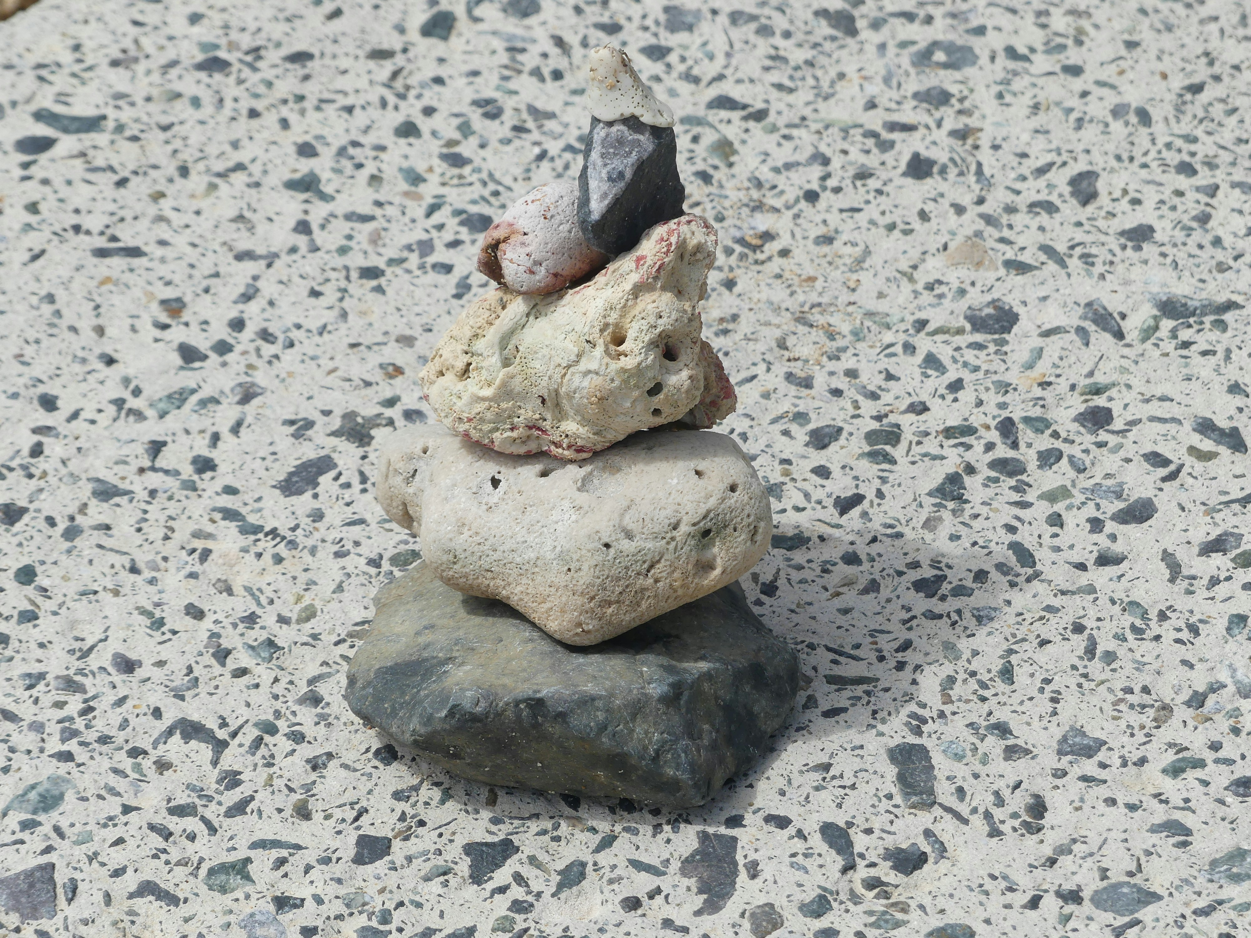 photo-1757899834739-c72f038371c1?ixid=M3