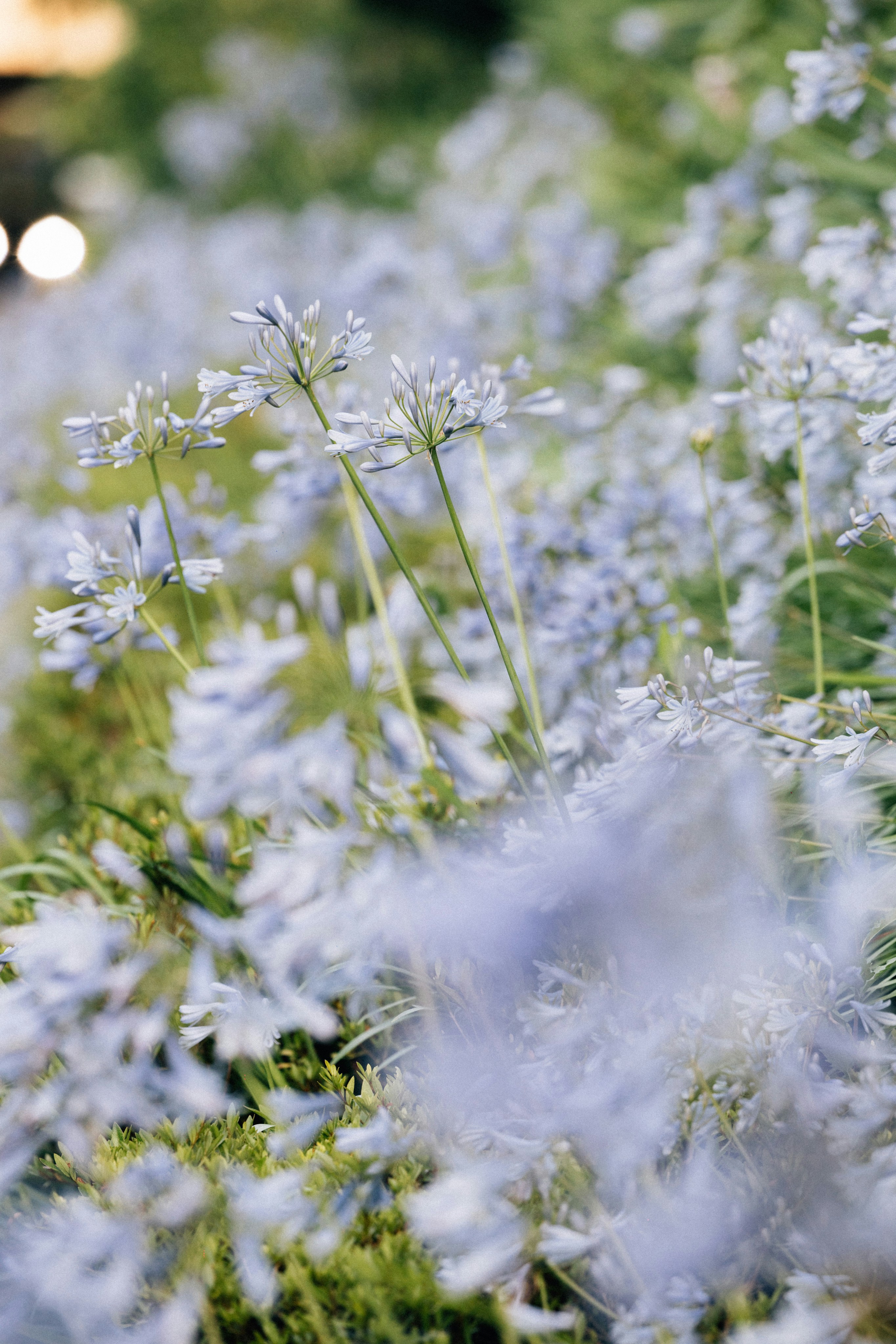 Photo by tsuyoshikozu