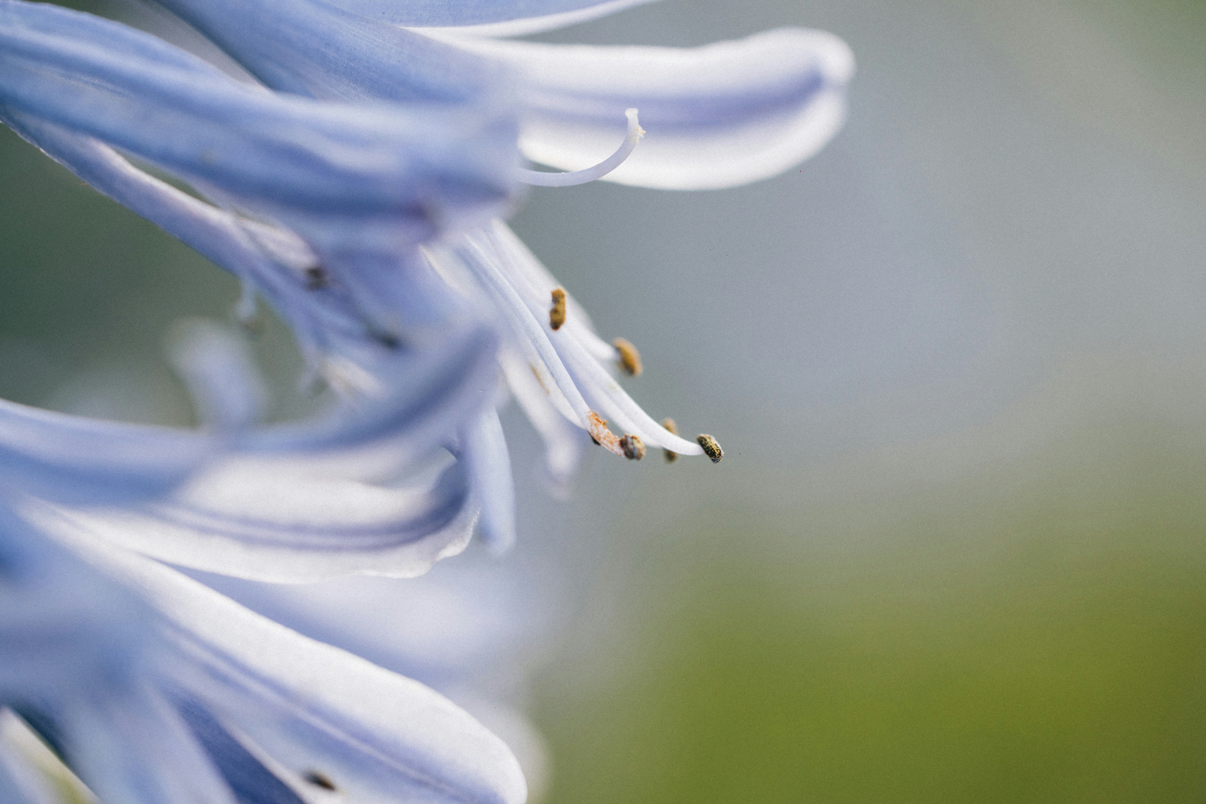 Photo by tsuyoshikozu