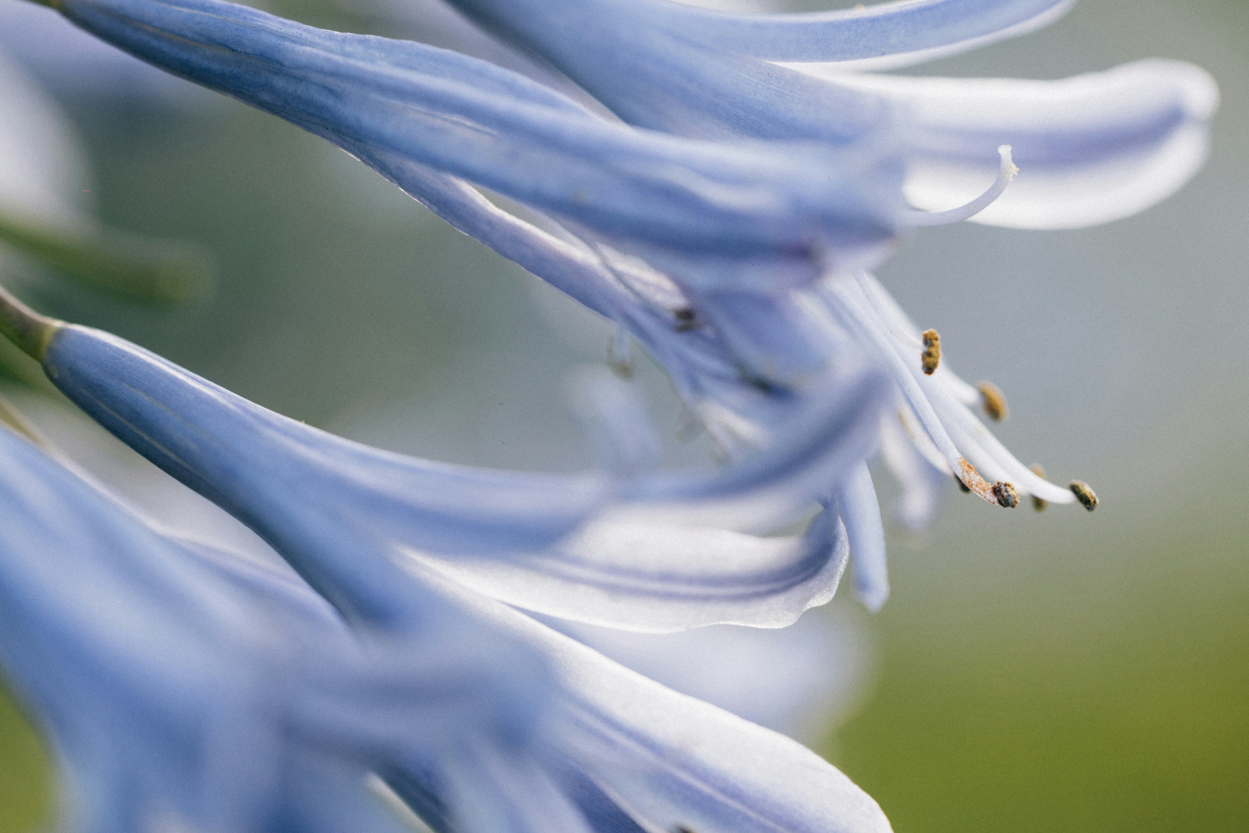 Photo by tsuyoshikozu