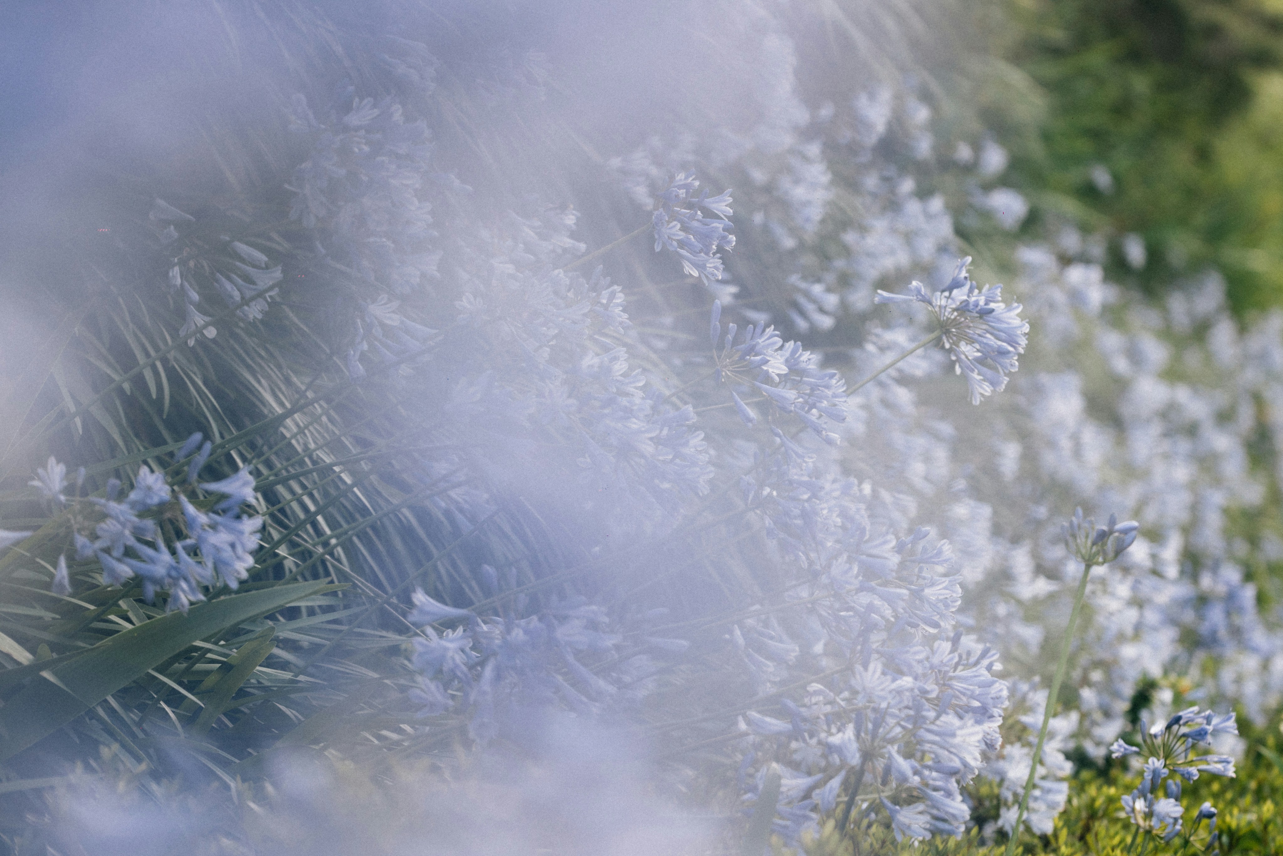 Photo by tsuyoshikozu