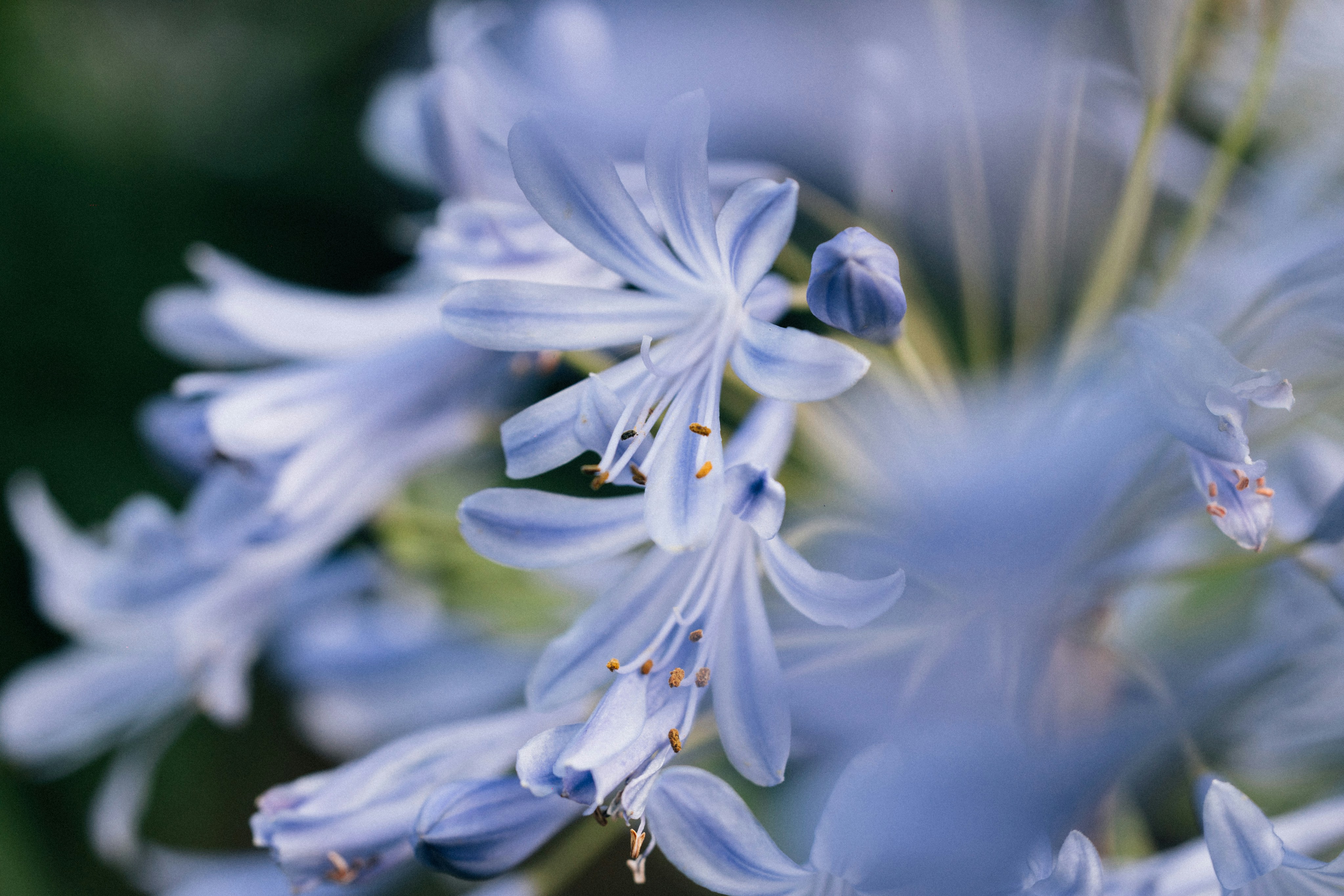 Photo by tsuyoshikozu