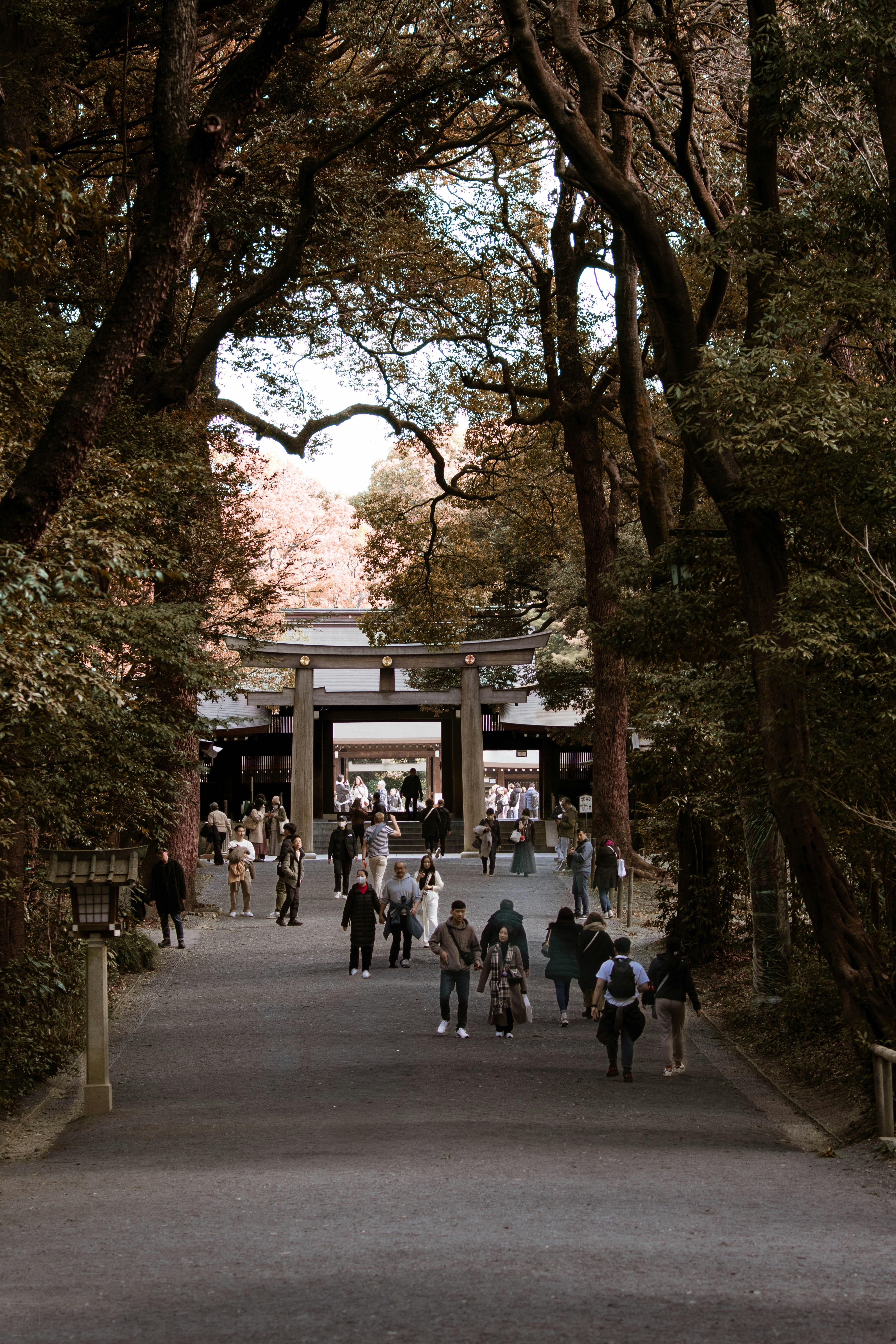 Photo by hidingninjatokyo