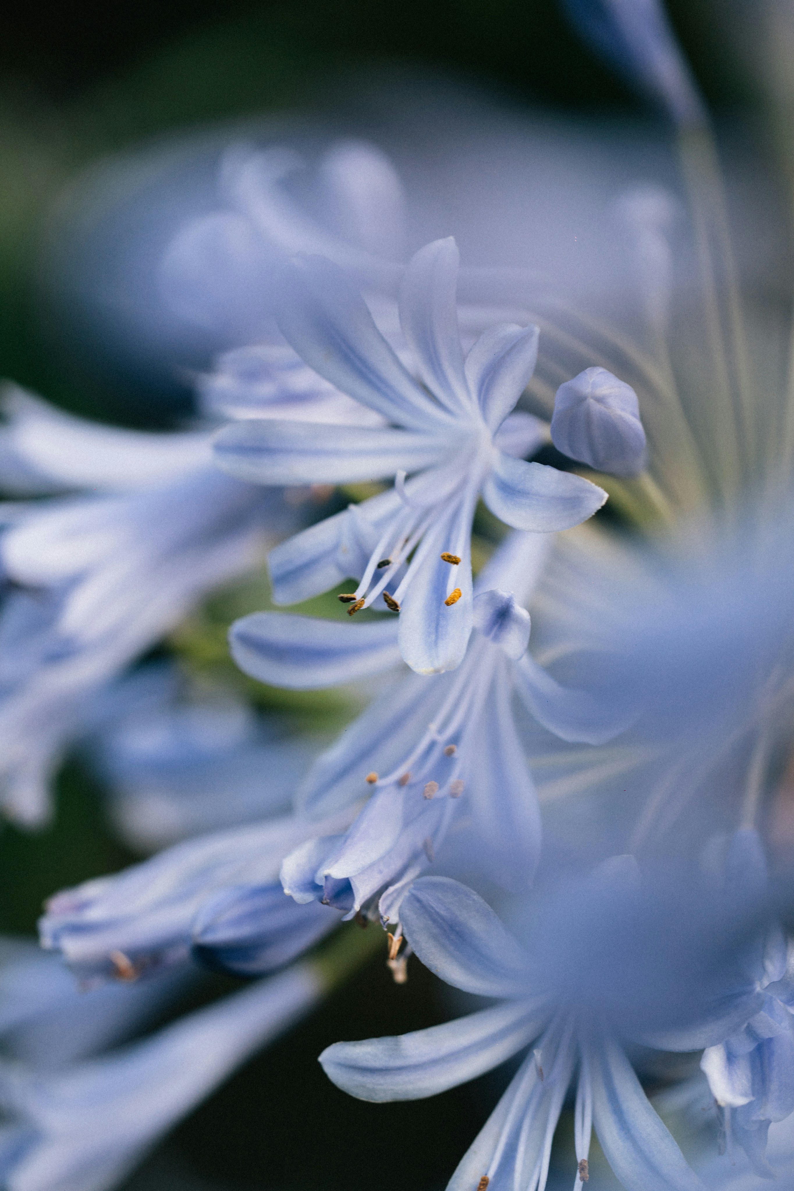 Photo by tsuyoshikozu