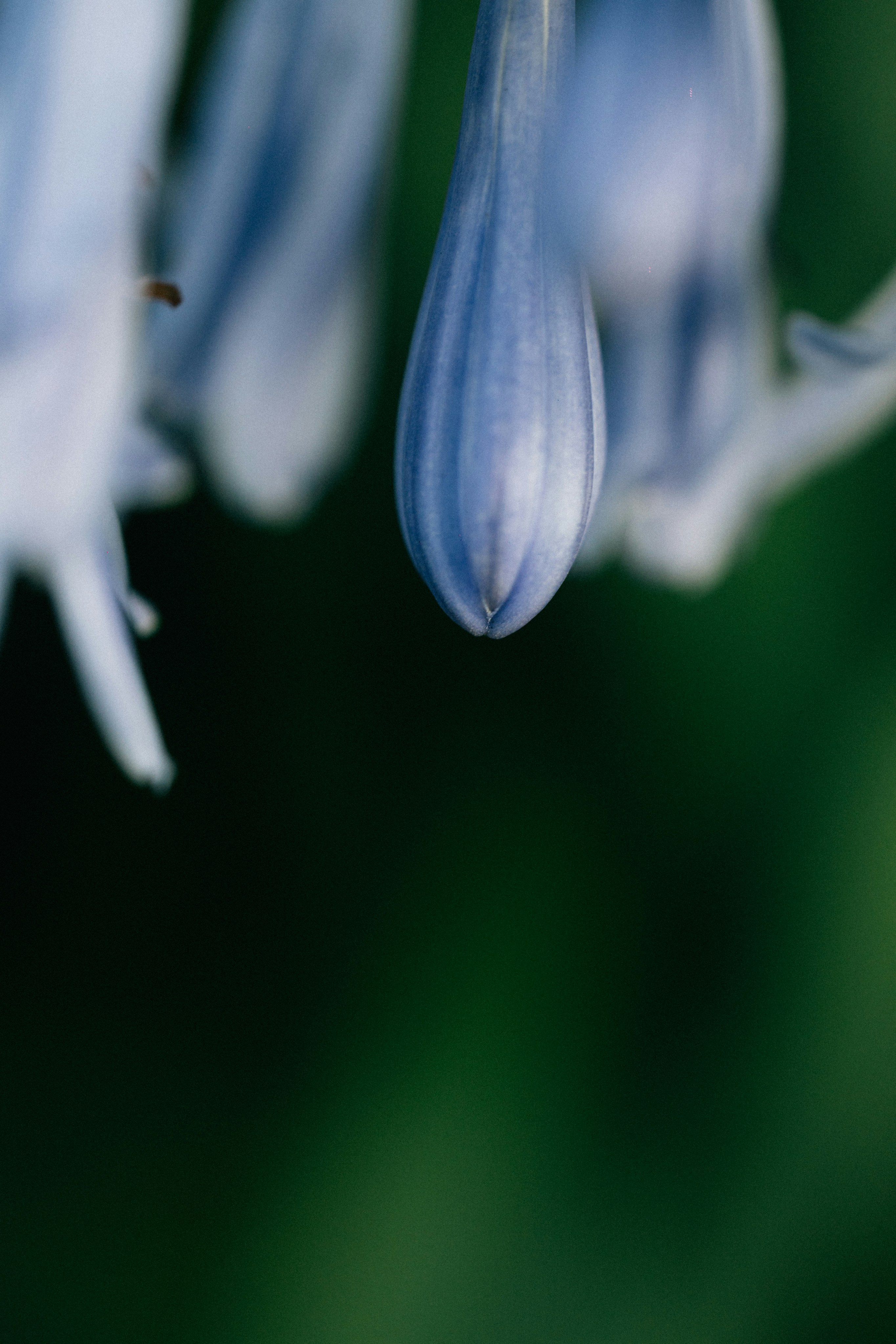 Photo by tsuyoshikozu