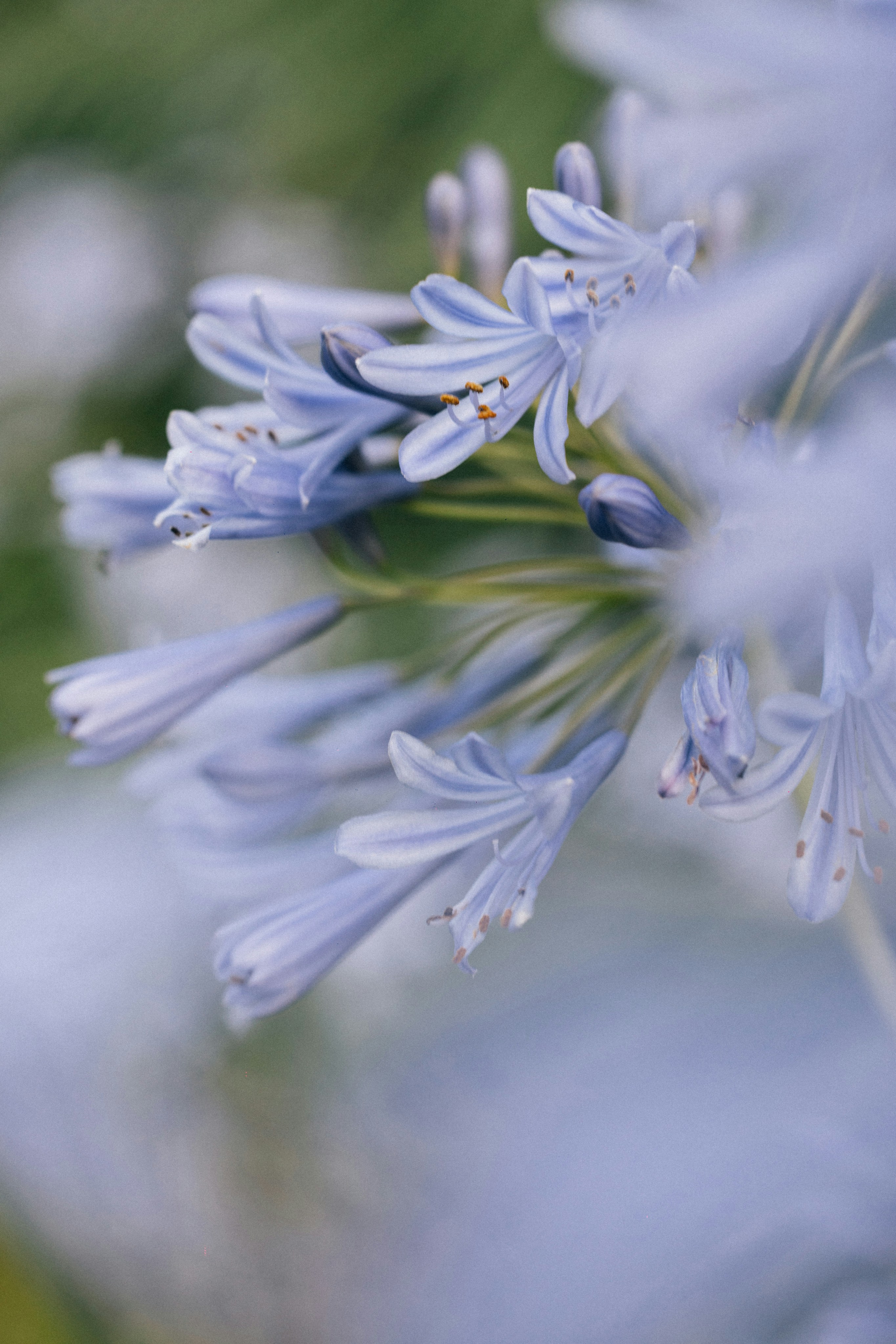 Photo by tsuyoshikozu