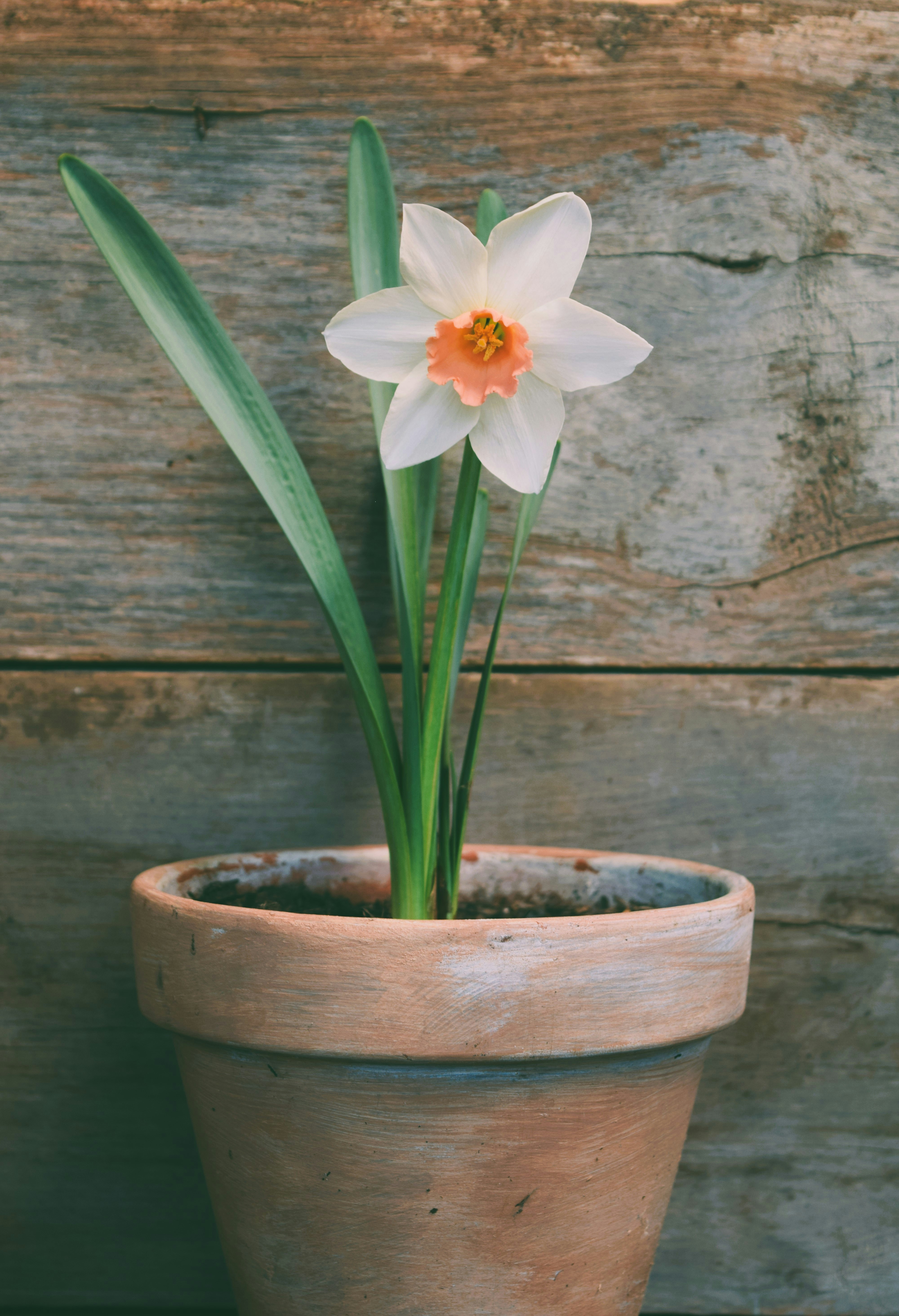 Photo by ch_photography