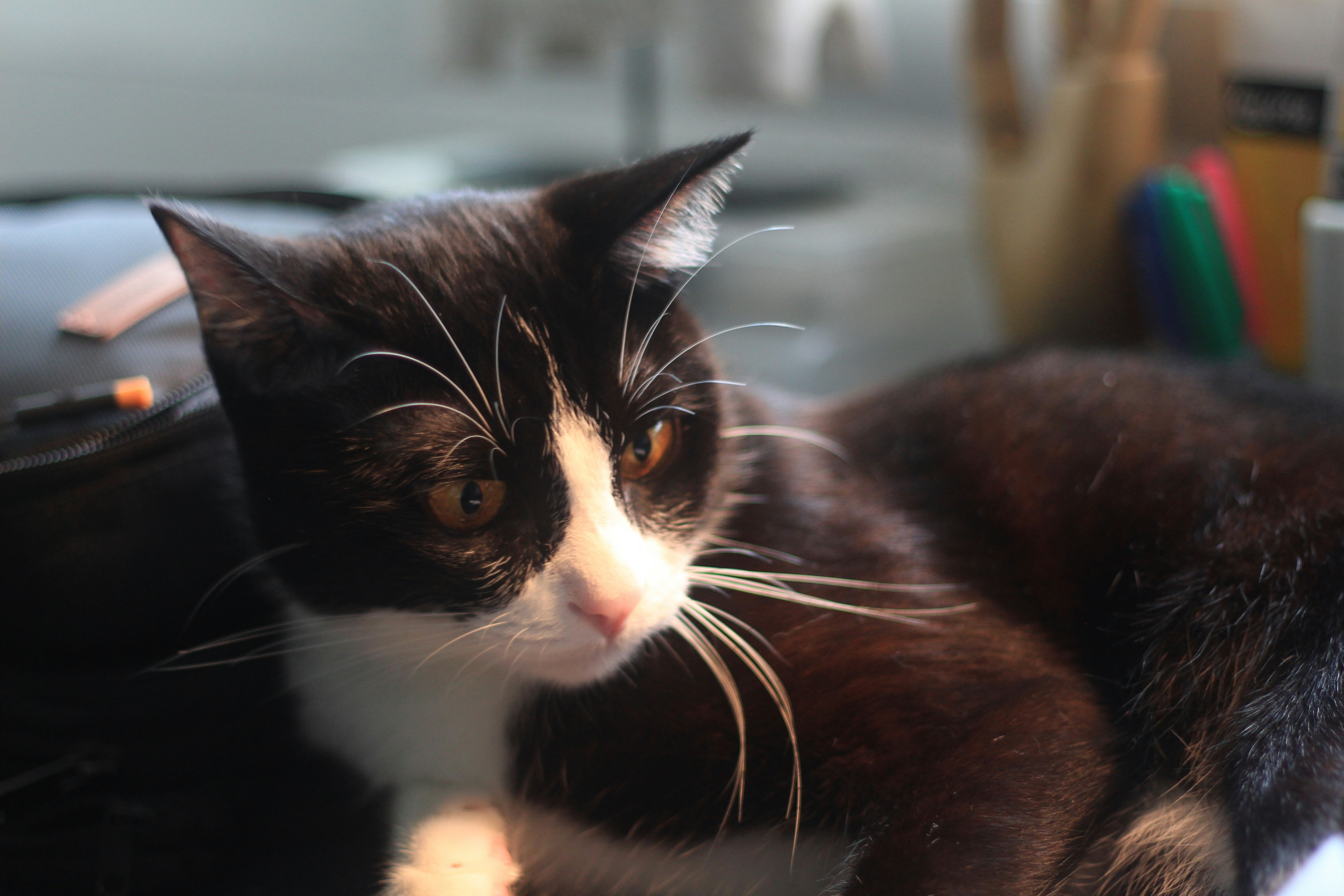 Photo by norapitch_p