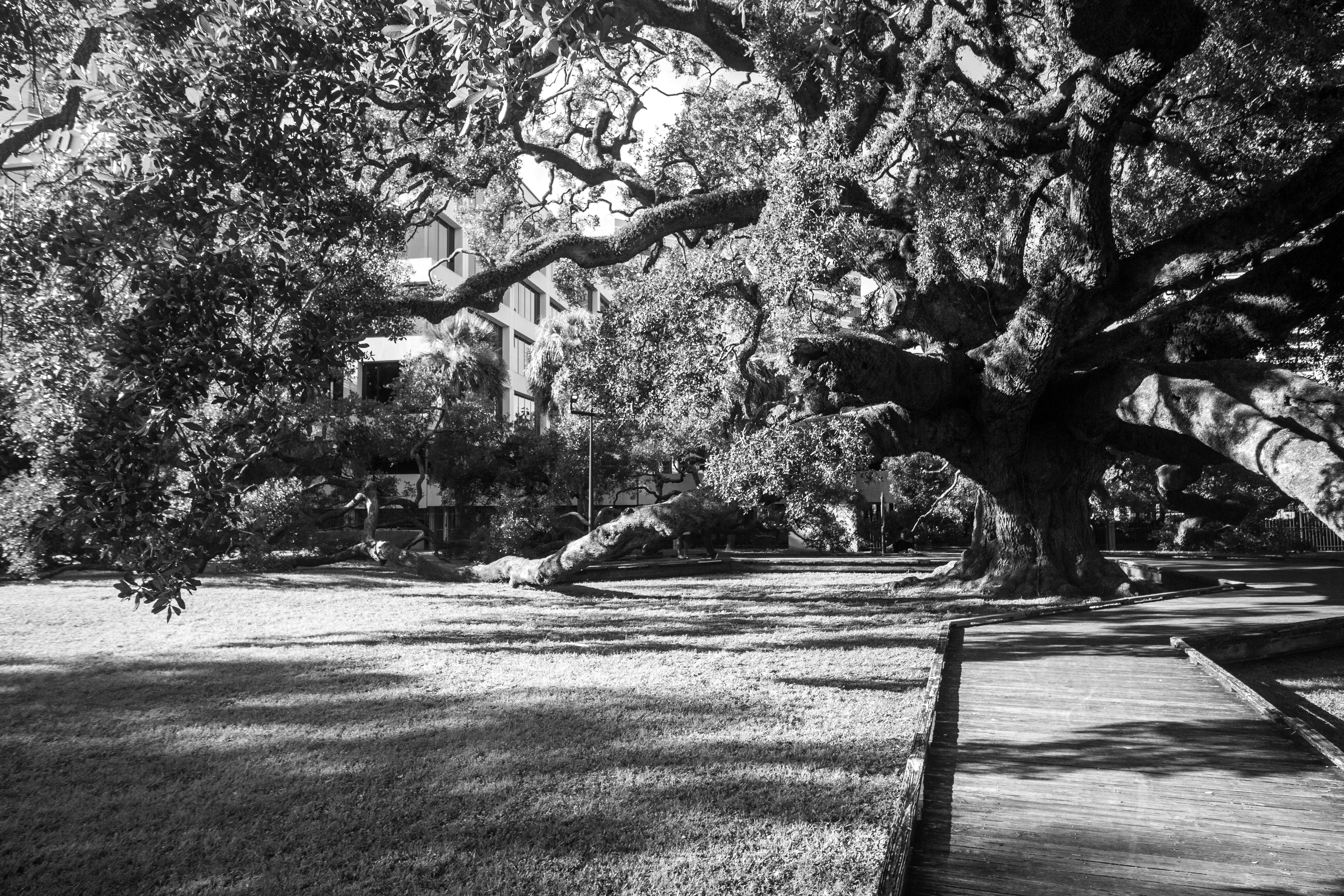 Photo by frontspace101