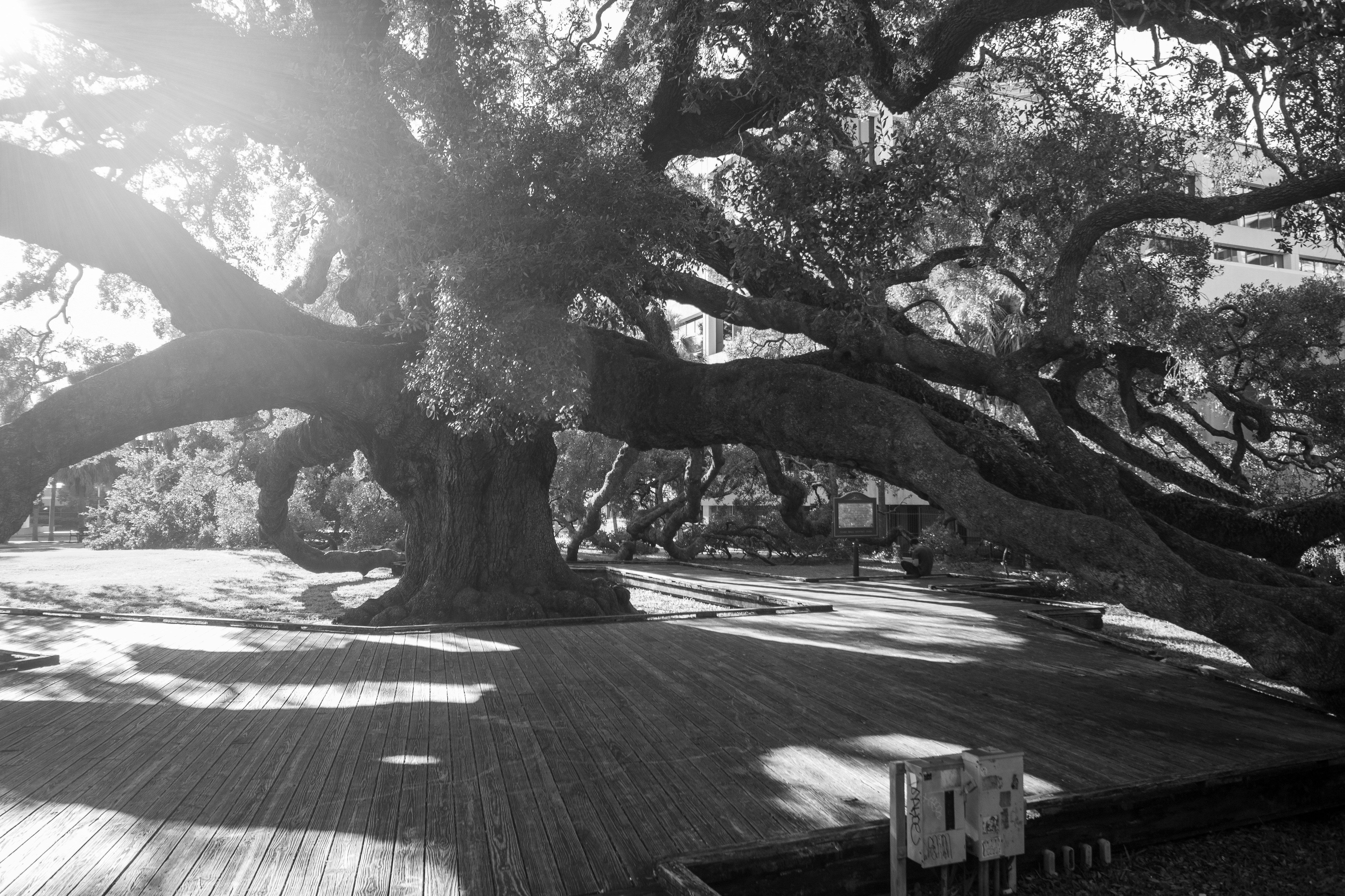 Photo by frontspace101