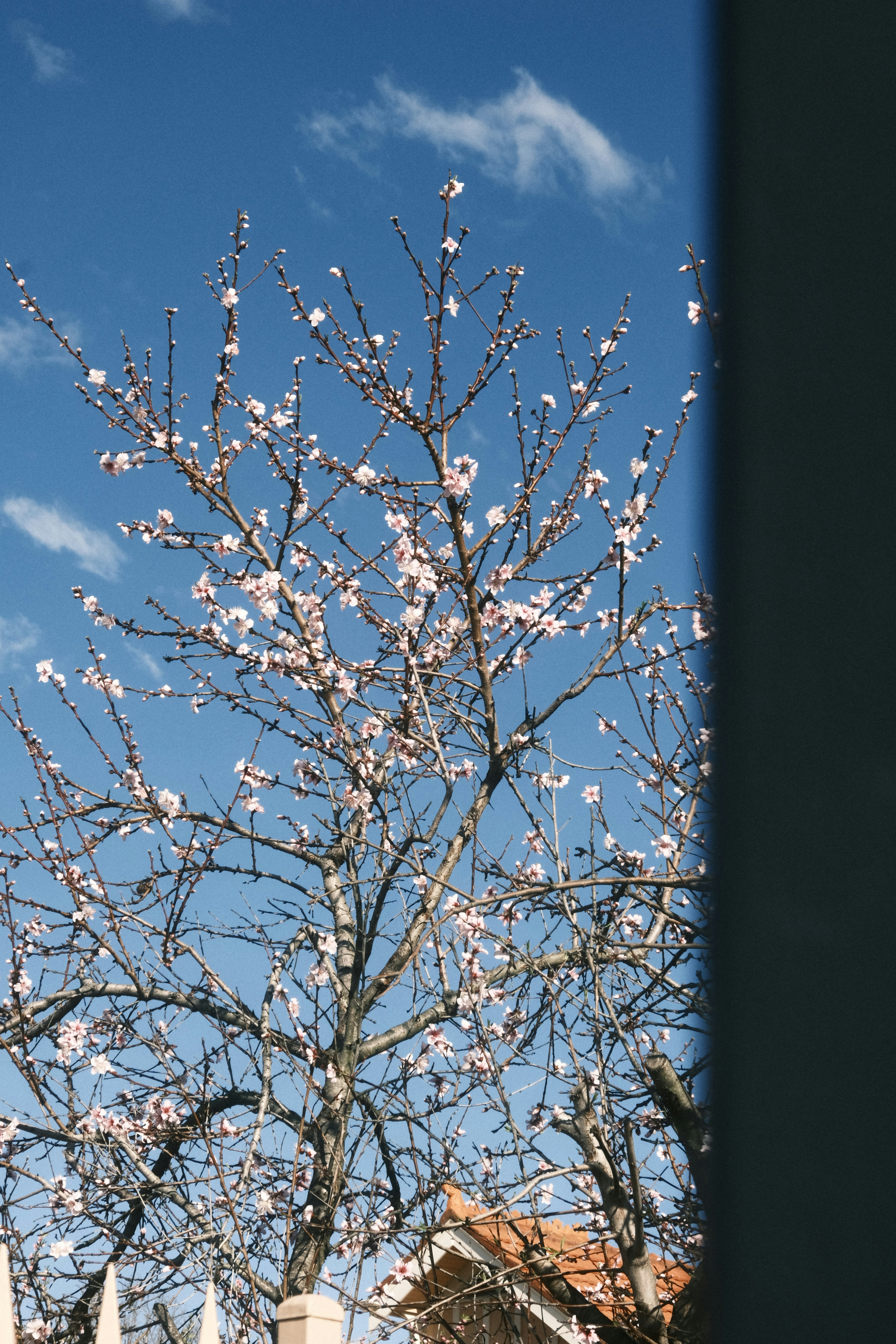 Photo by imavism