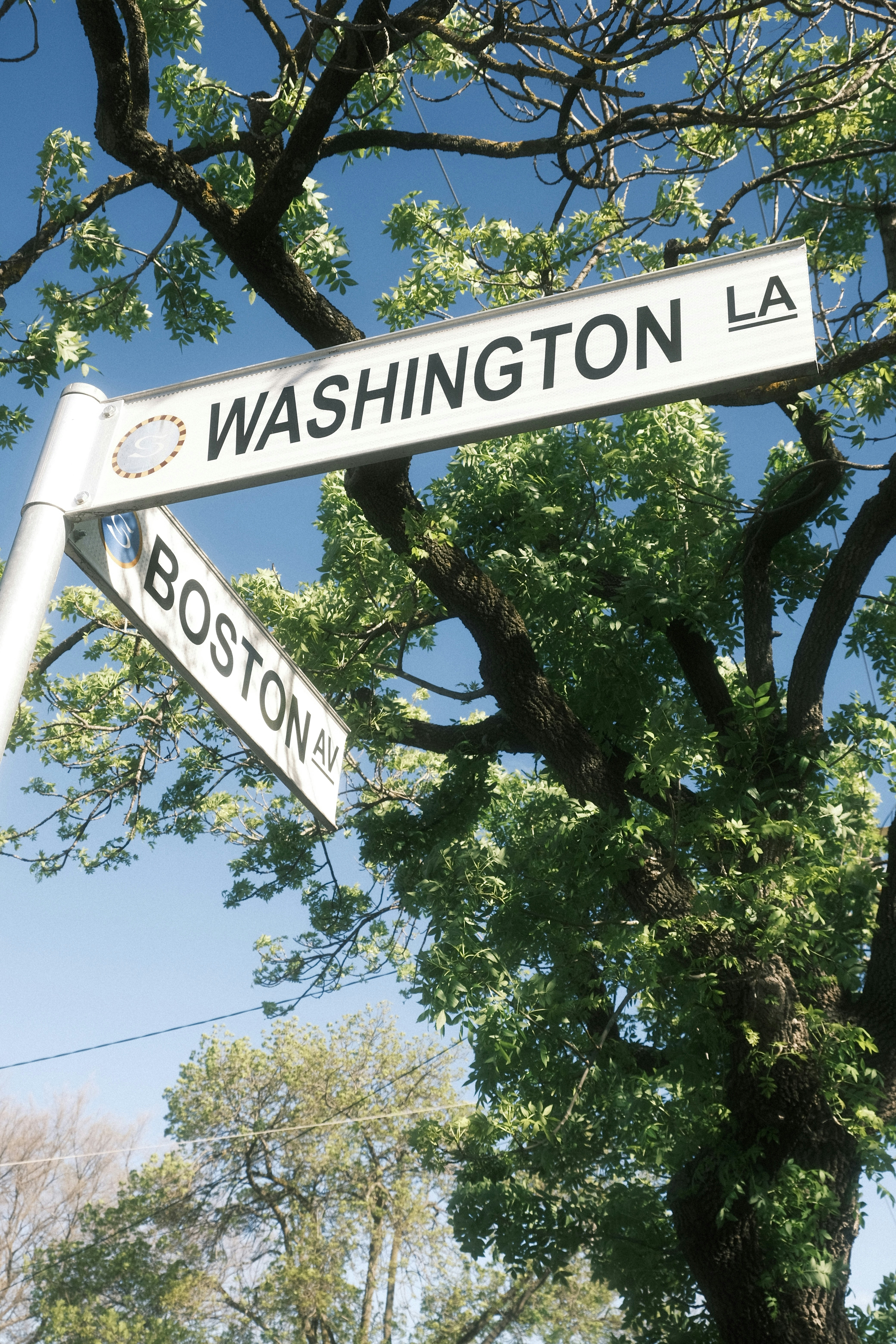 Washington and boston street signs with trees