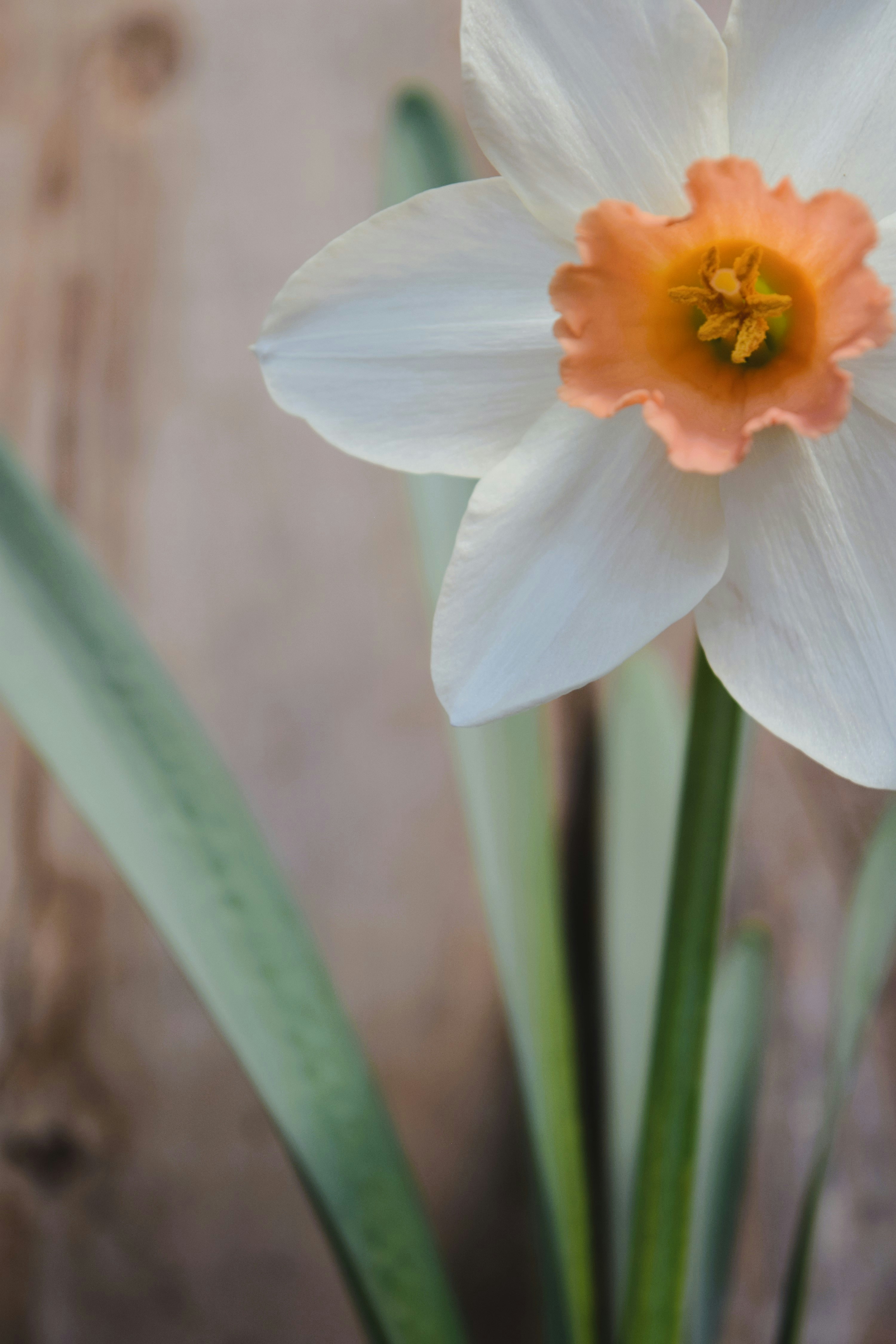 Photo by ch_photography