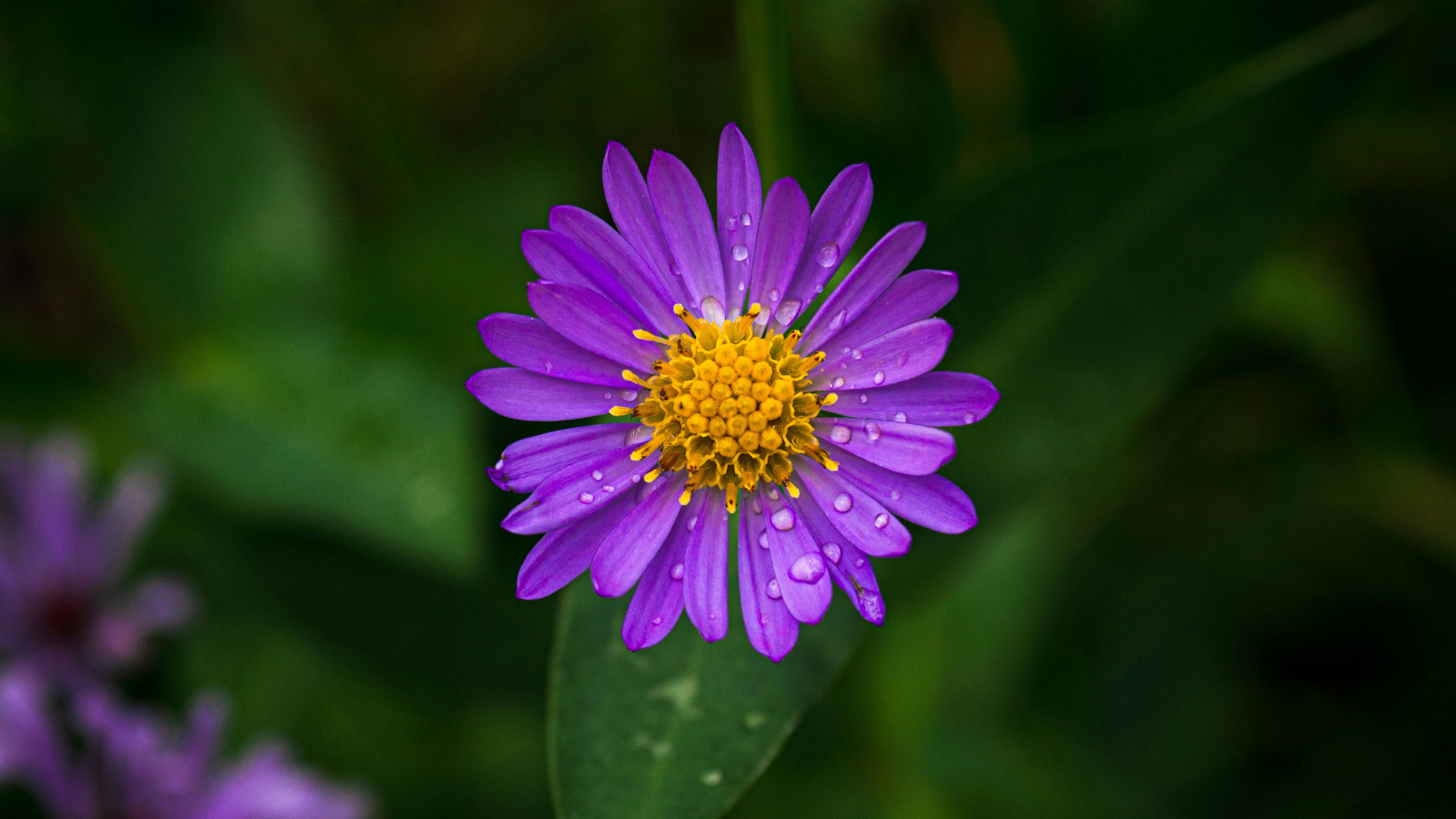 Photo by dmytro_yarish