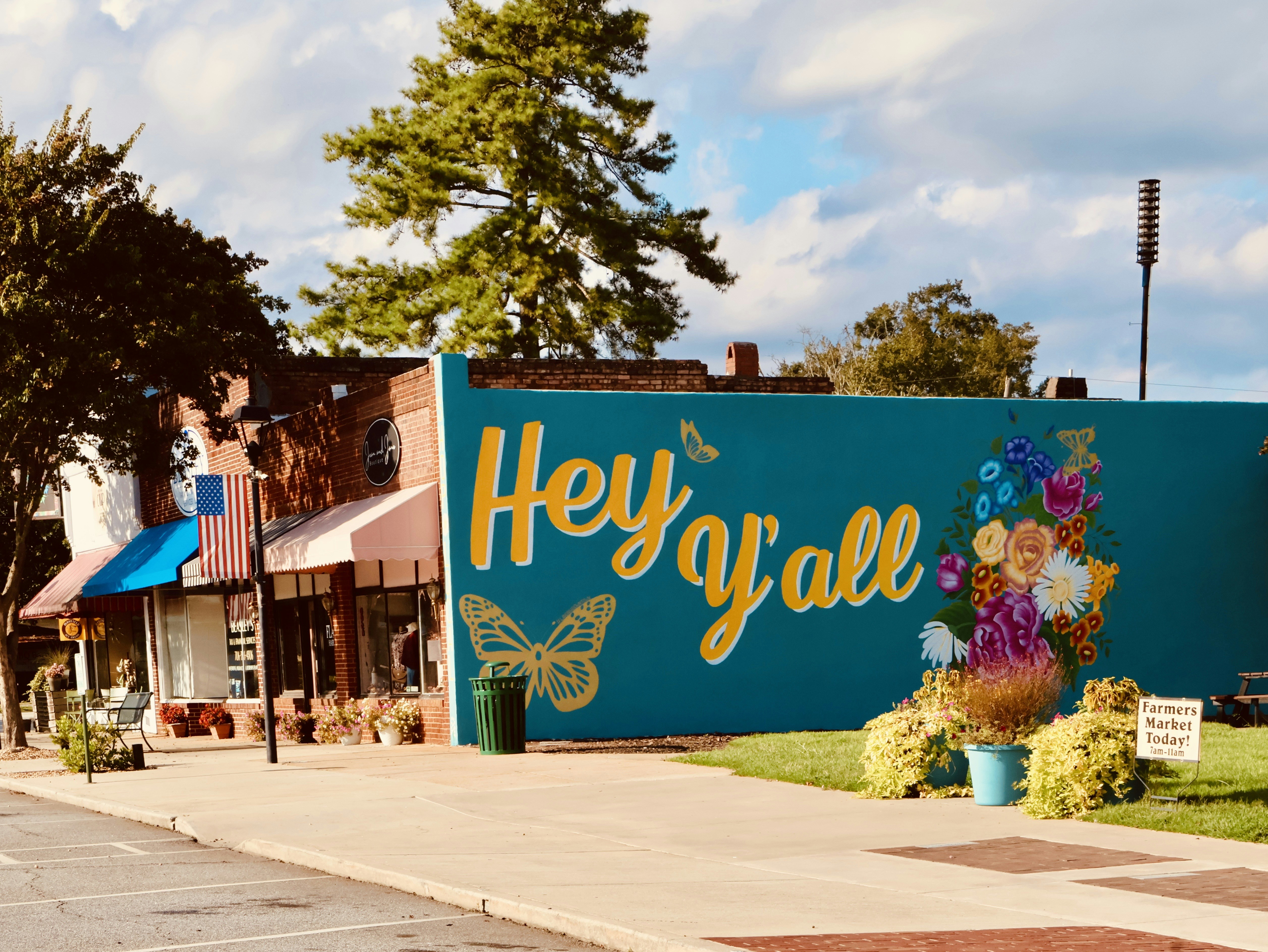 Colorful mural with "hey y'all" and butterflies.