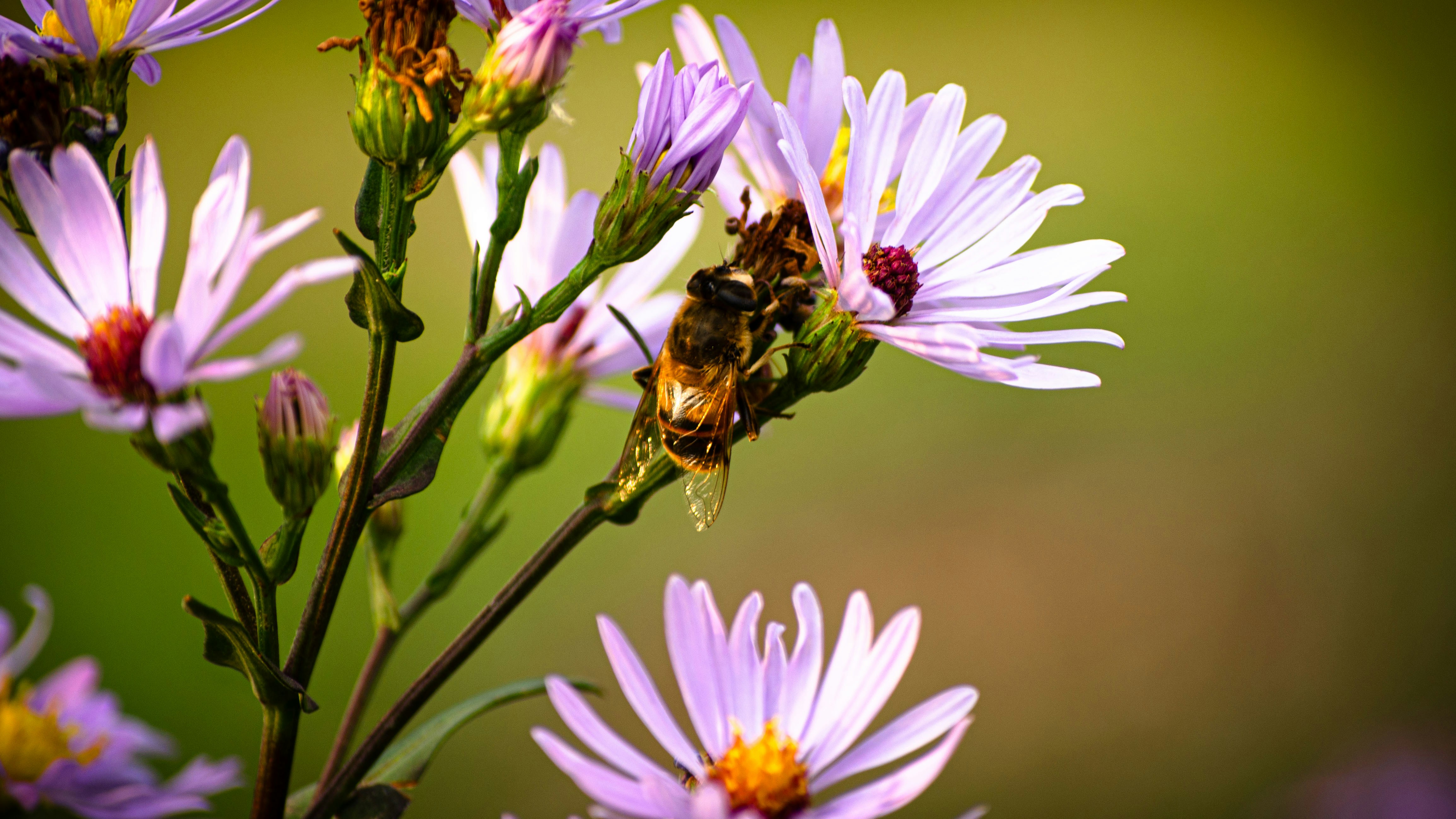 Photo by dmytro_yarish