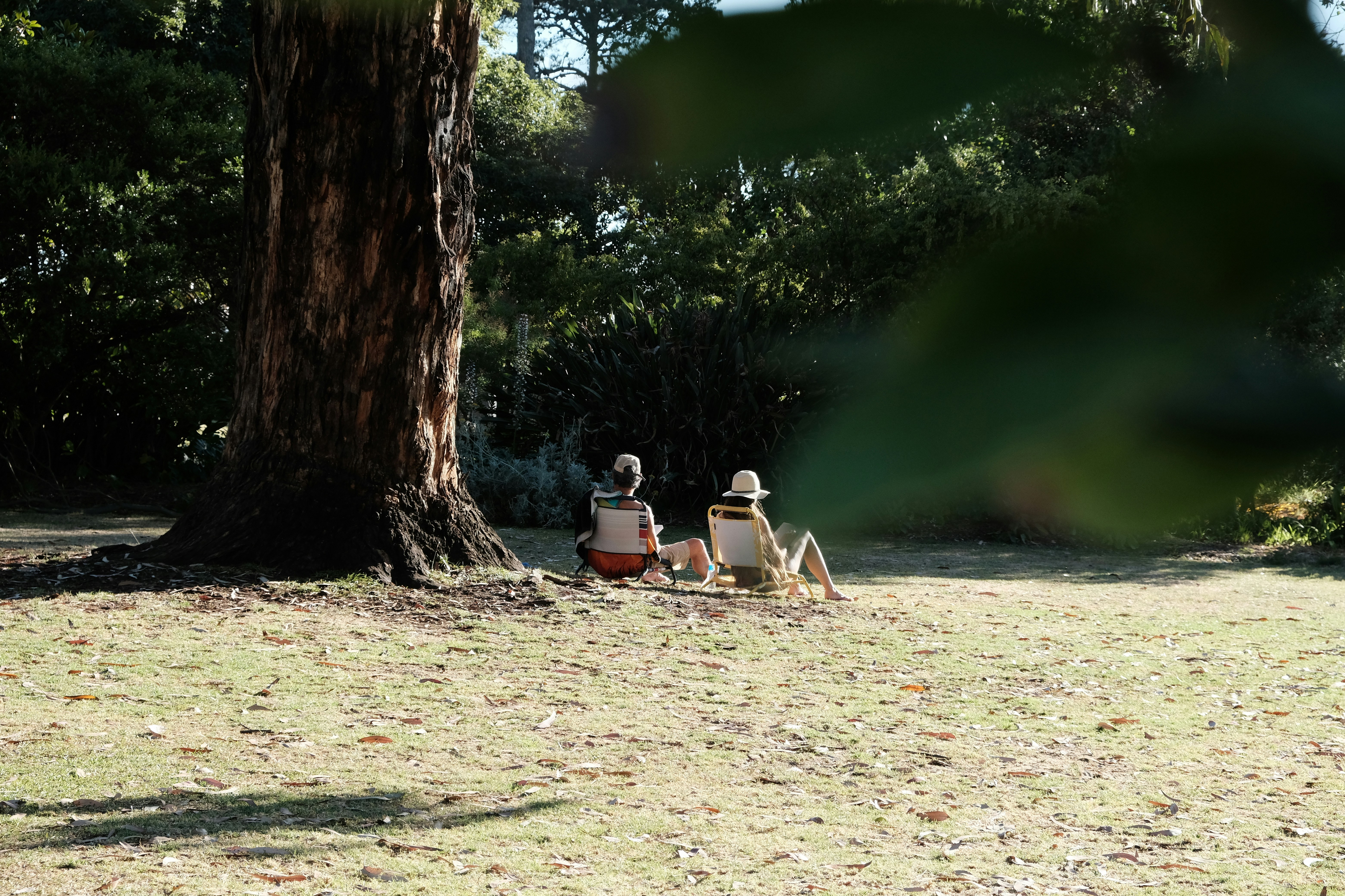 Two people relaxing under a large tree in a park.