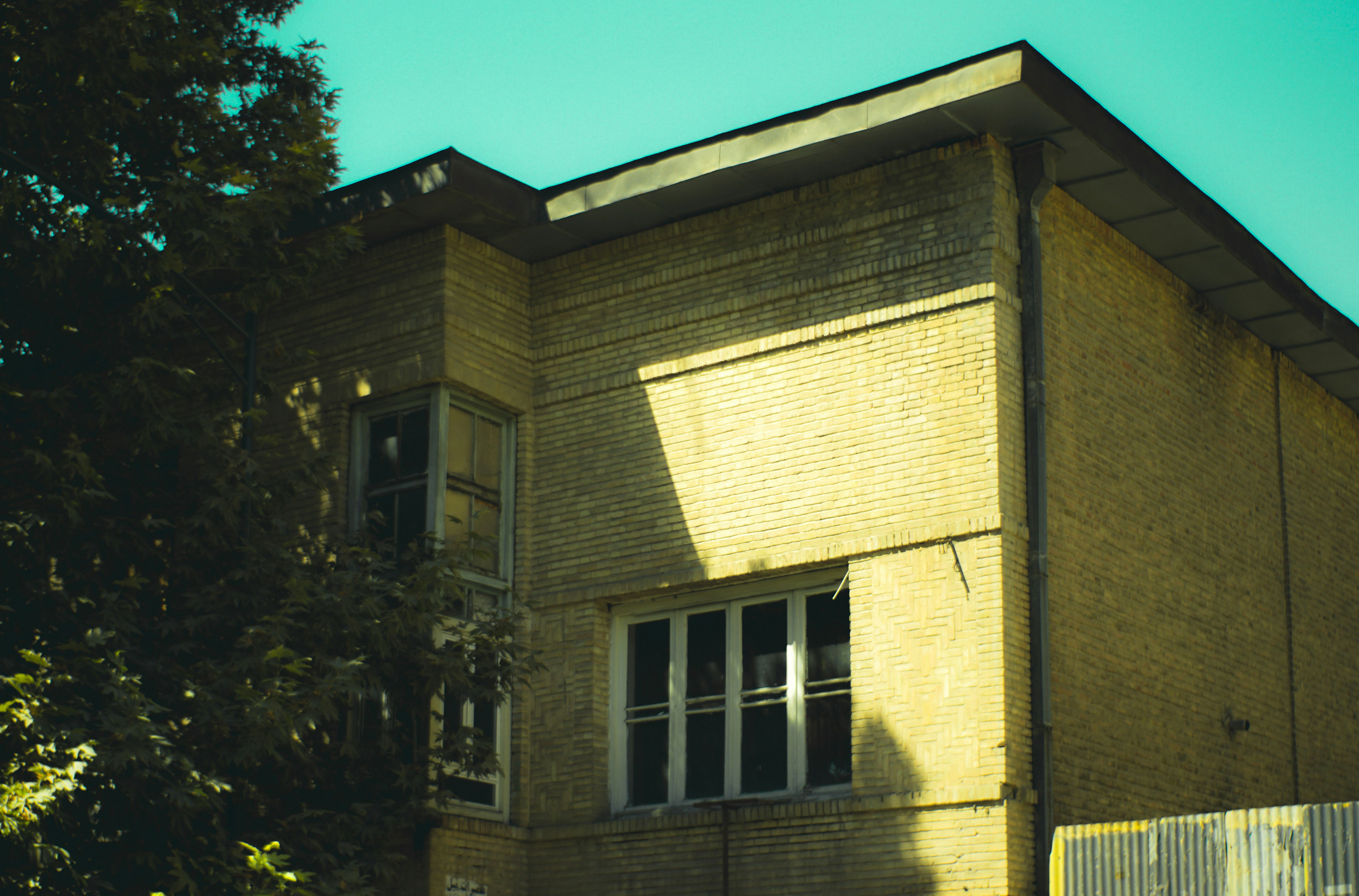 Photo by mdrezajalali