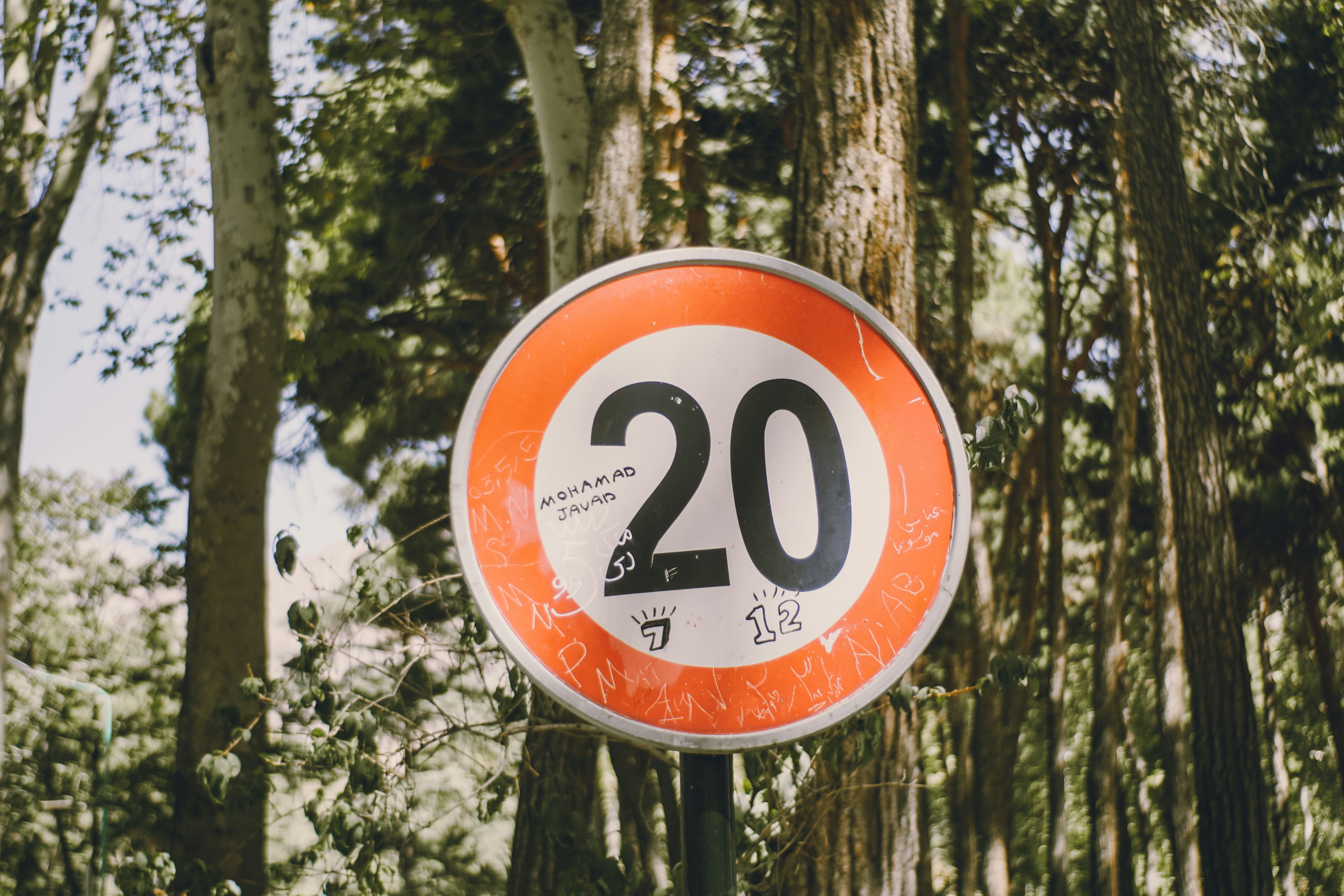 Is Low T Fueling Your Midlife Crisis? Reclaim Work Drive and Gym Motivation After 40