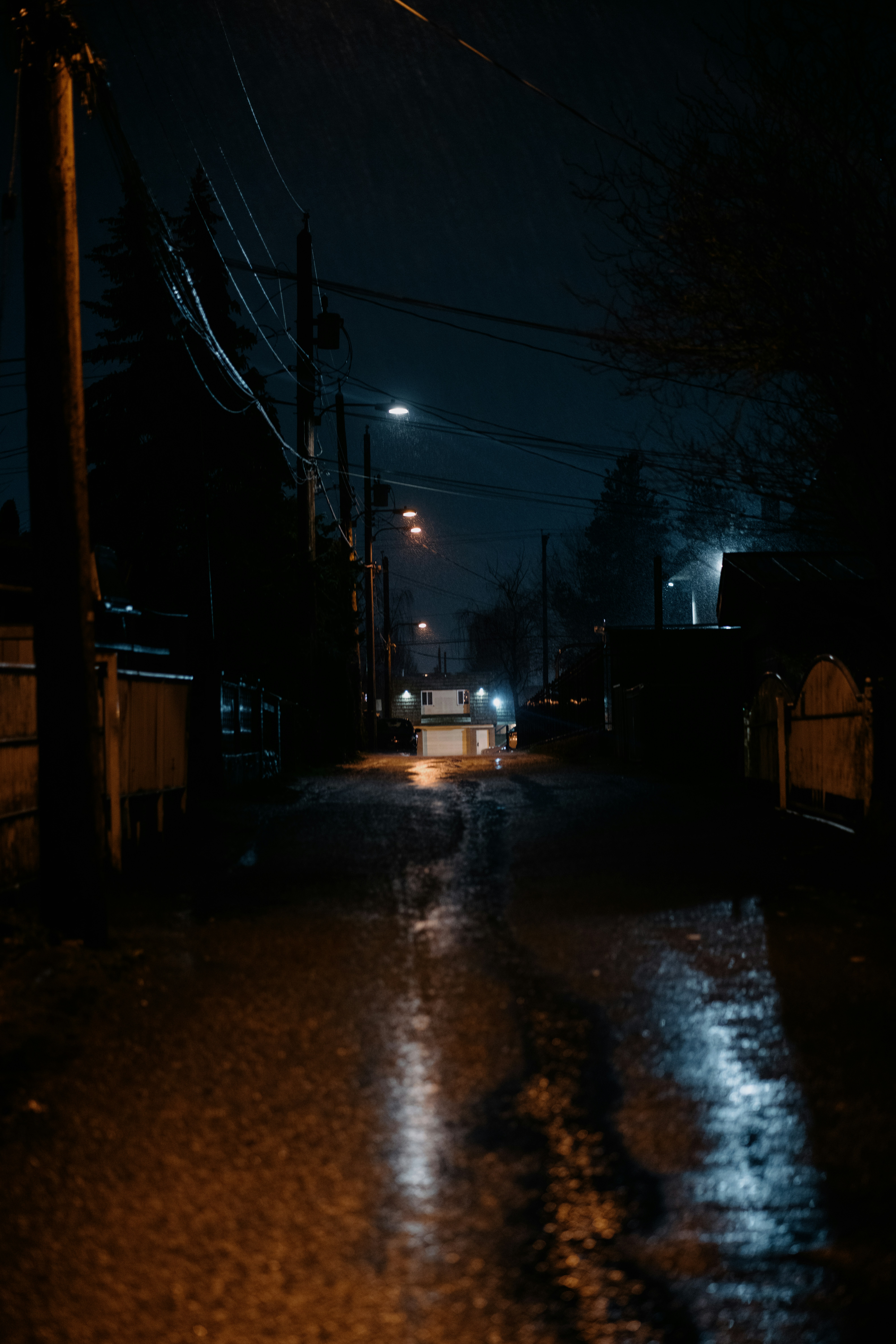 Photo by ericstoynov