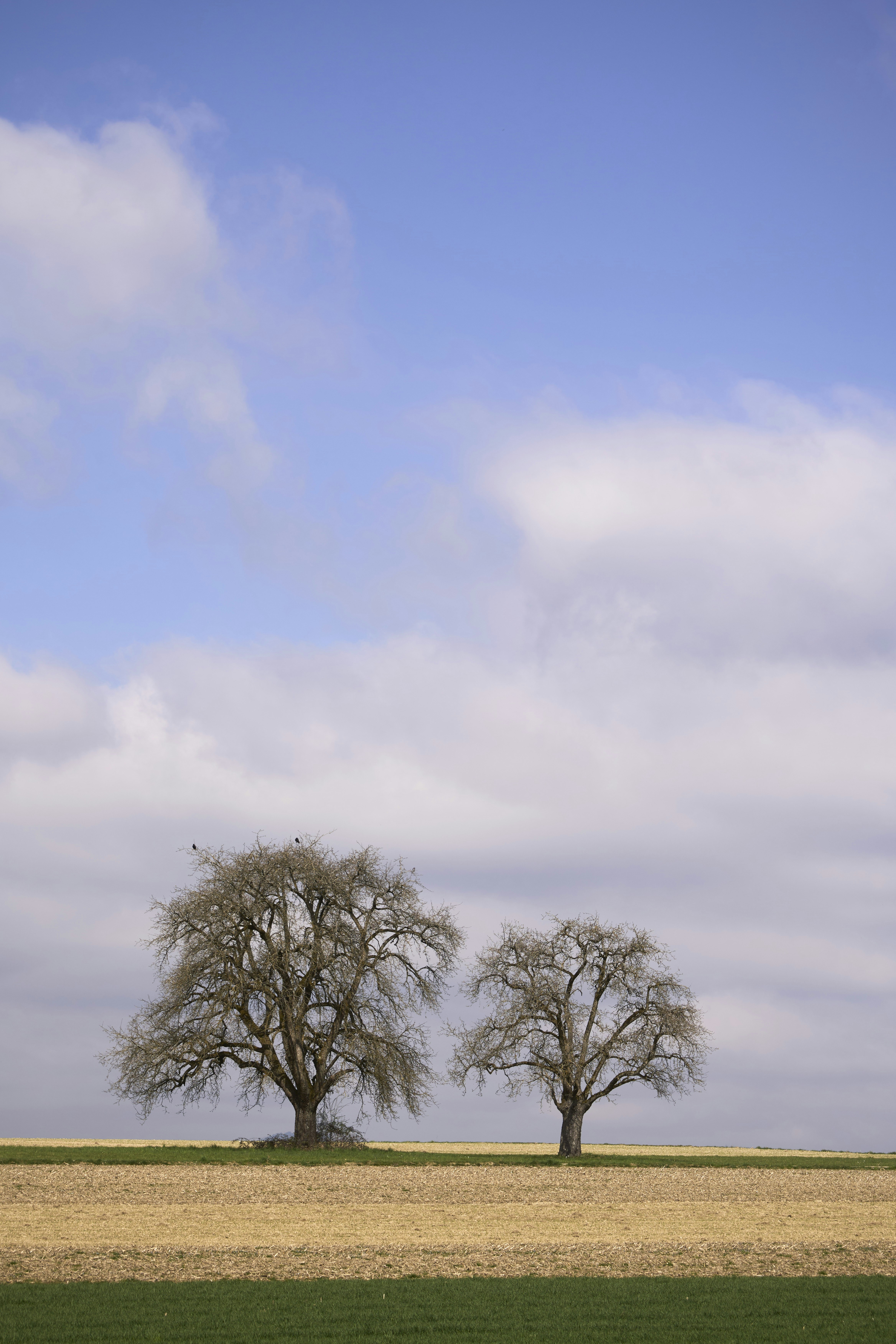 Photo by wolfgang_hasselmann