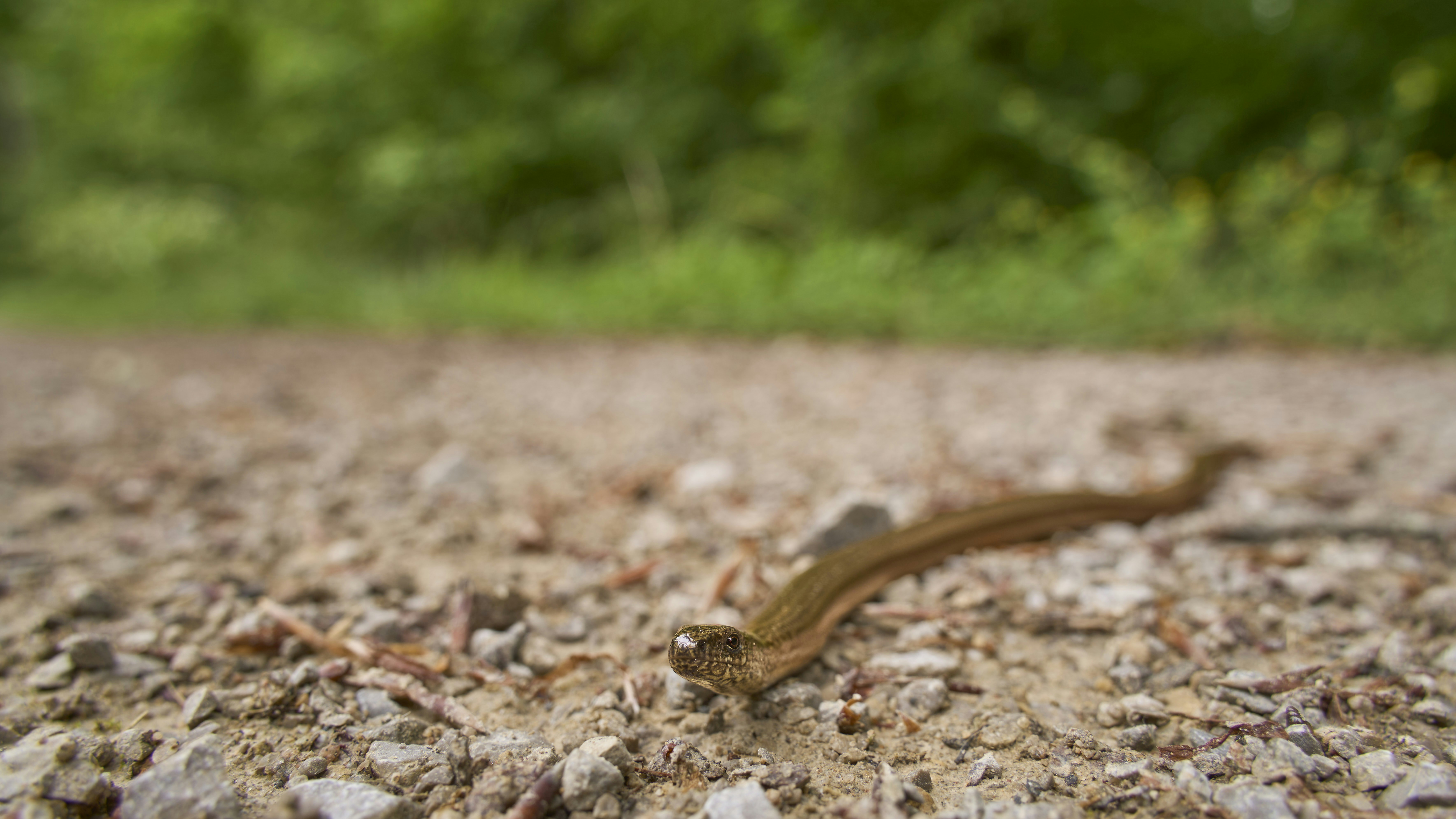 Photo by wolfgang_hasselmann