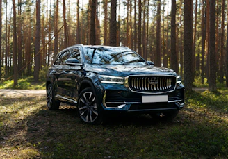 Dark blue suv parked in a sunlit forest.