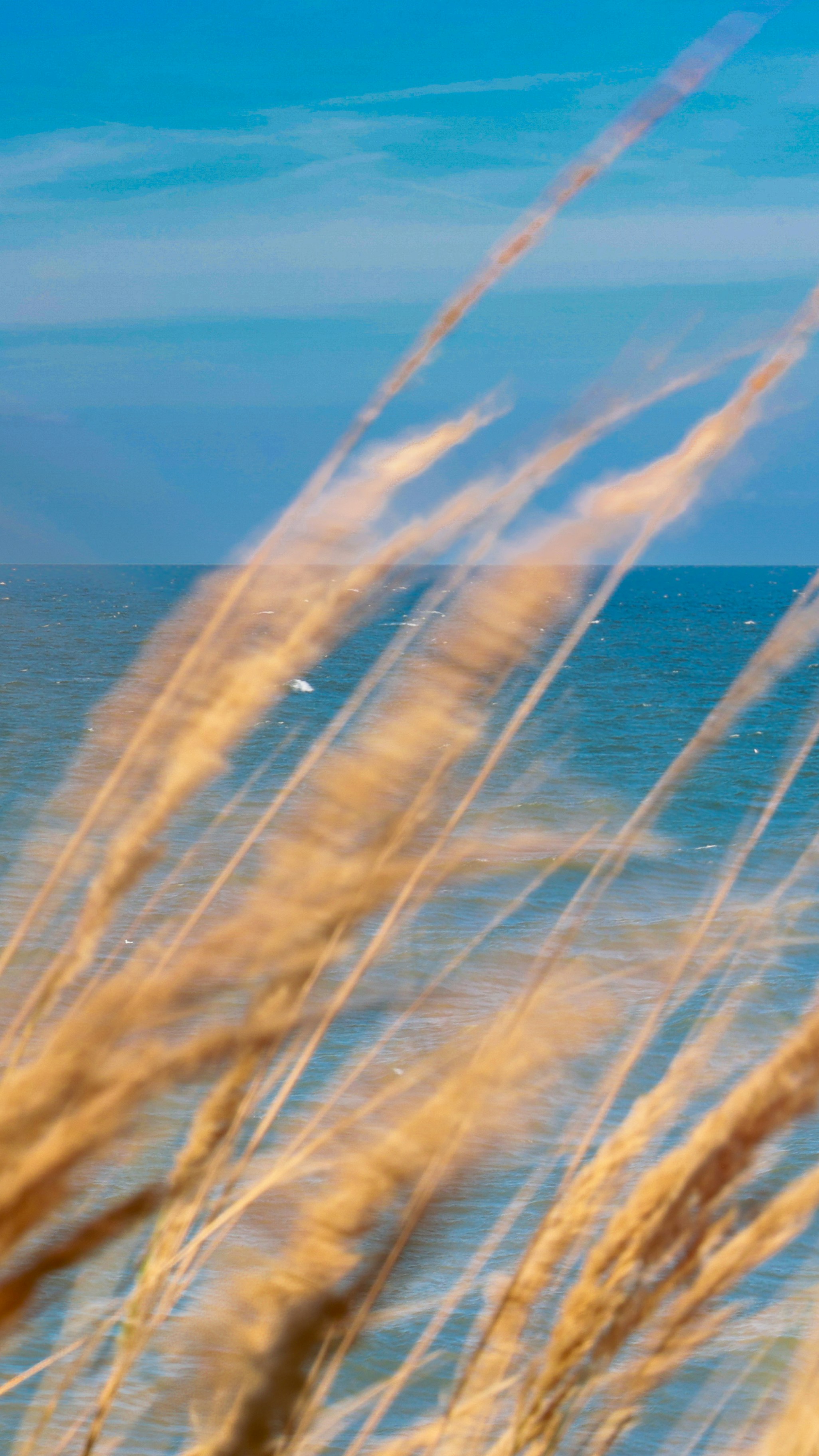 Photo by stefaniejockschat