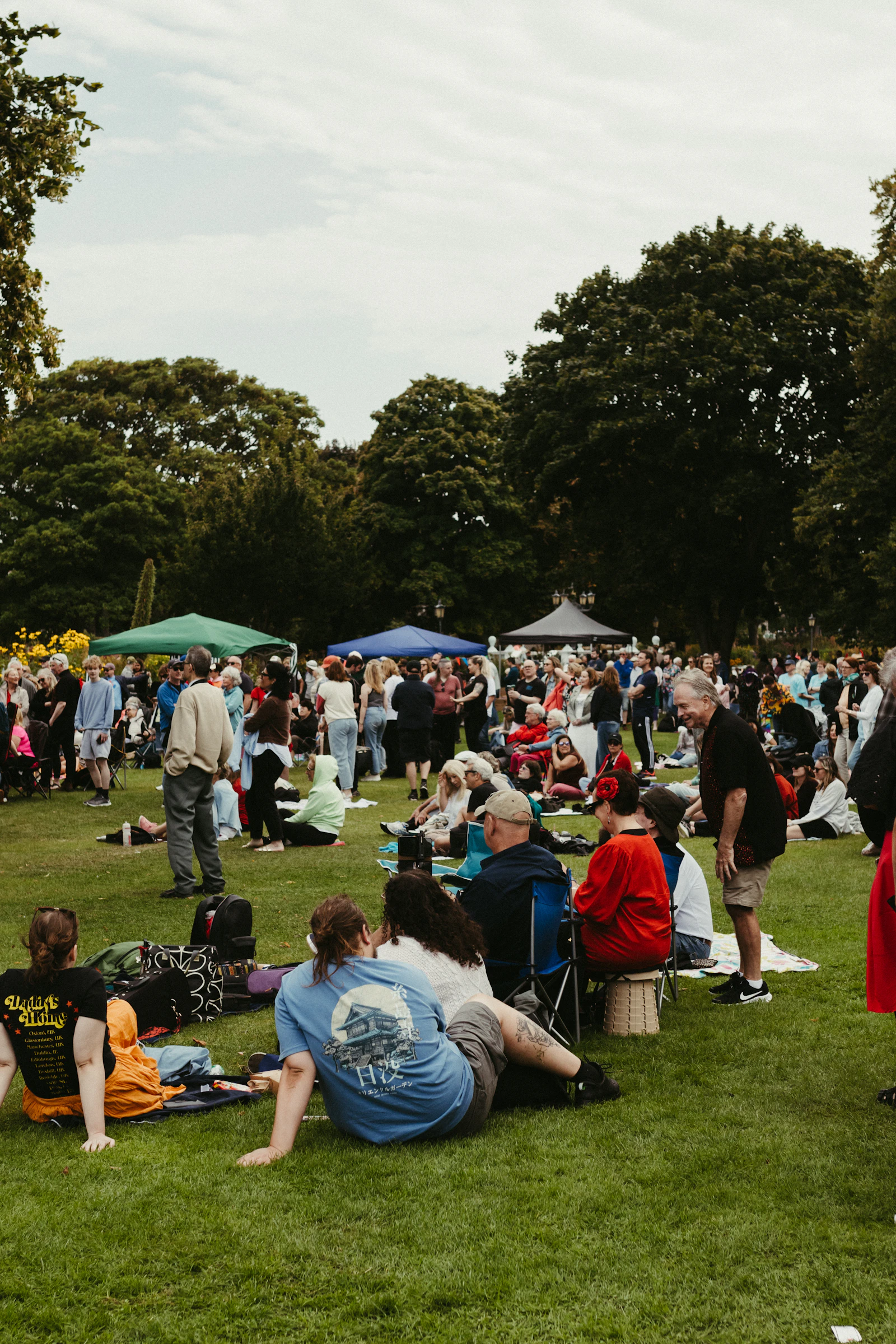 Community gathering in a park