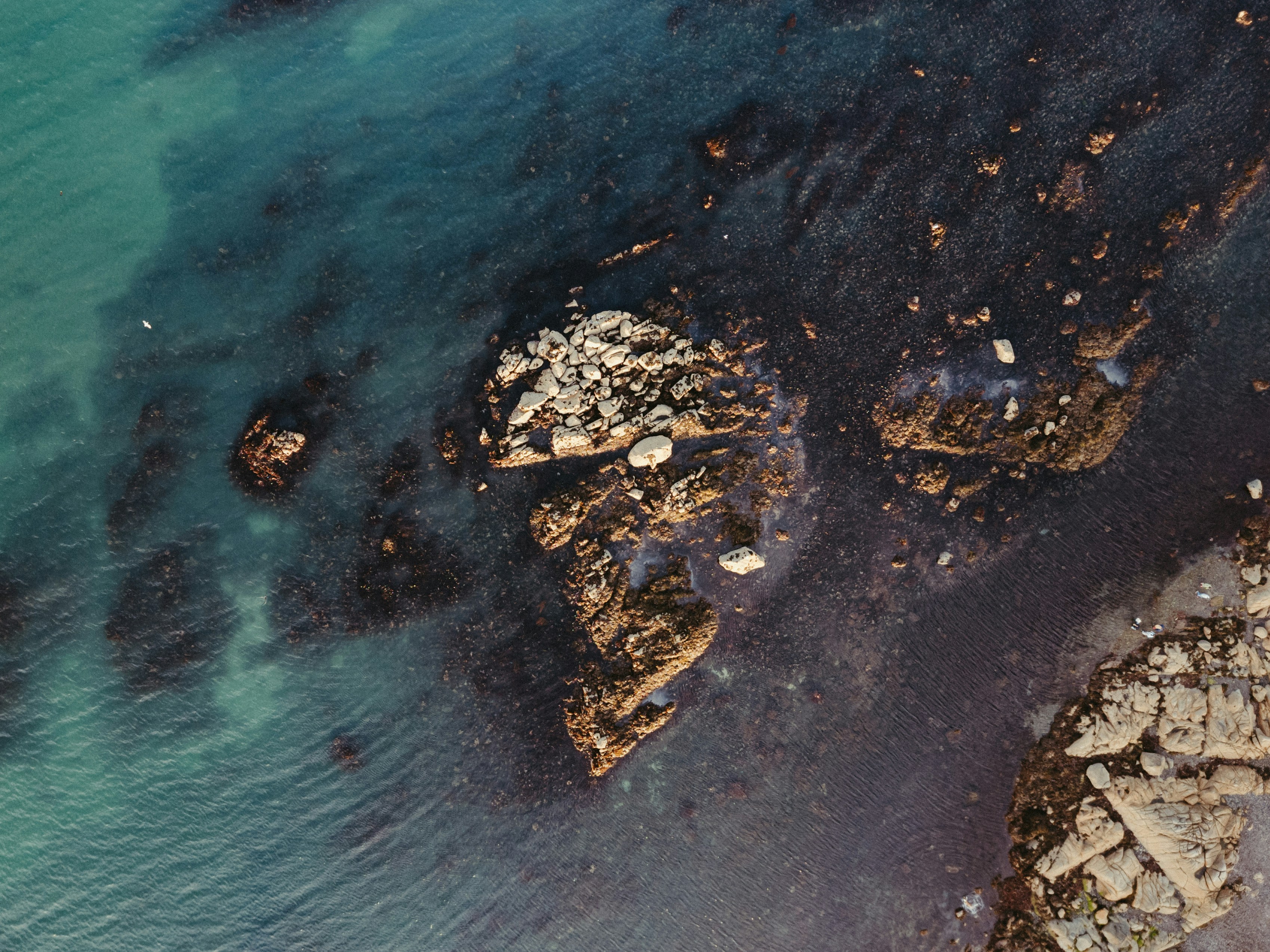 Photo by jonathanborba