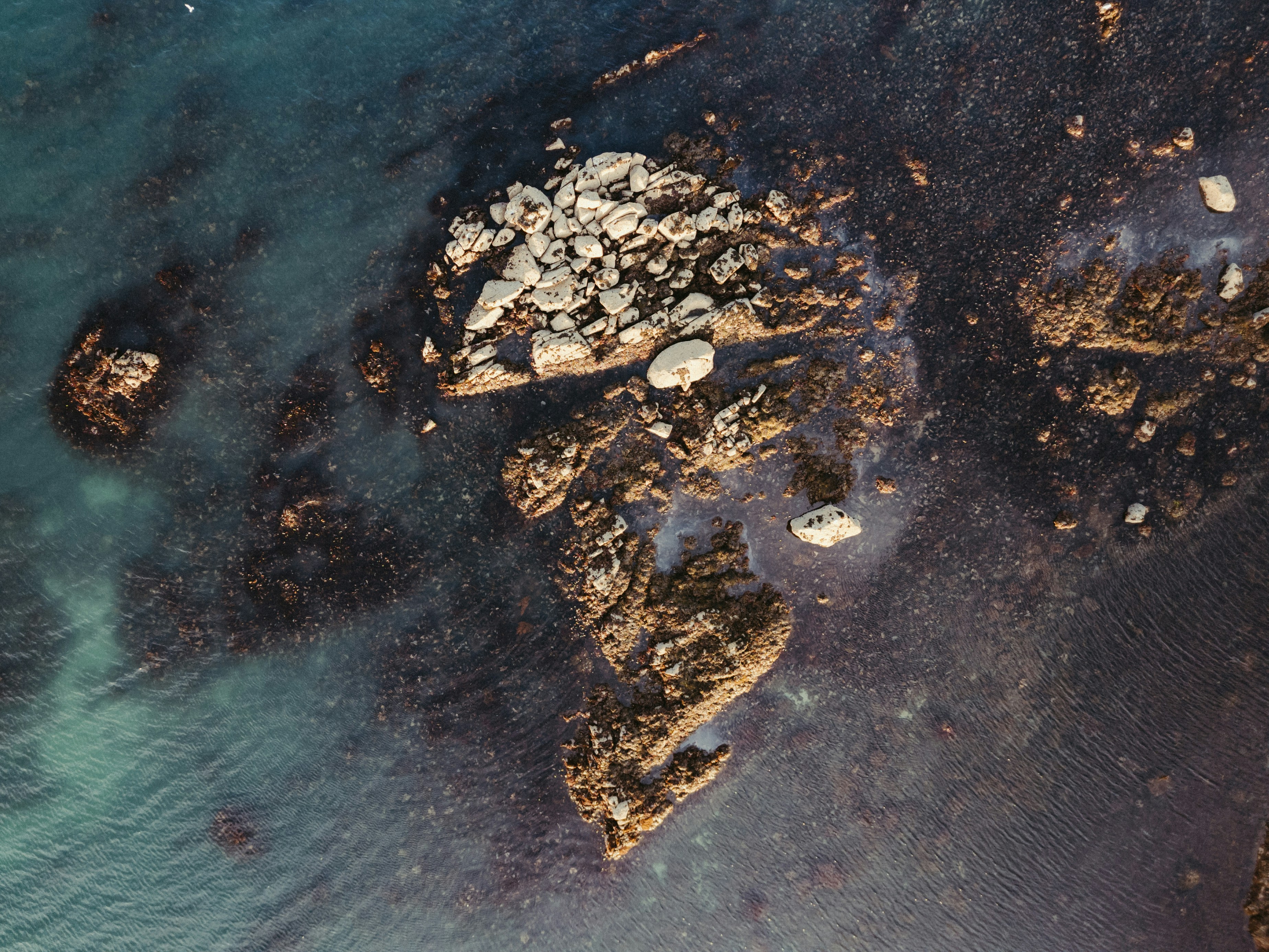 Photo by jonathanborba