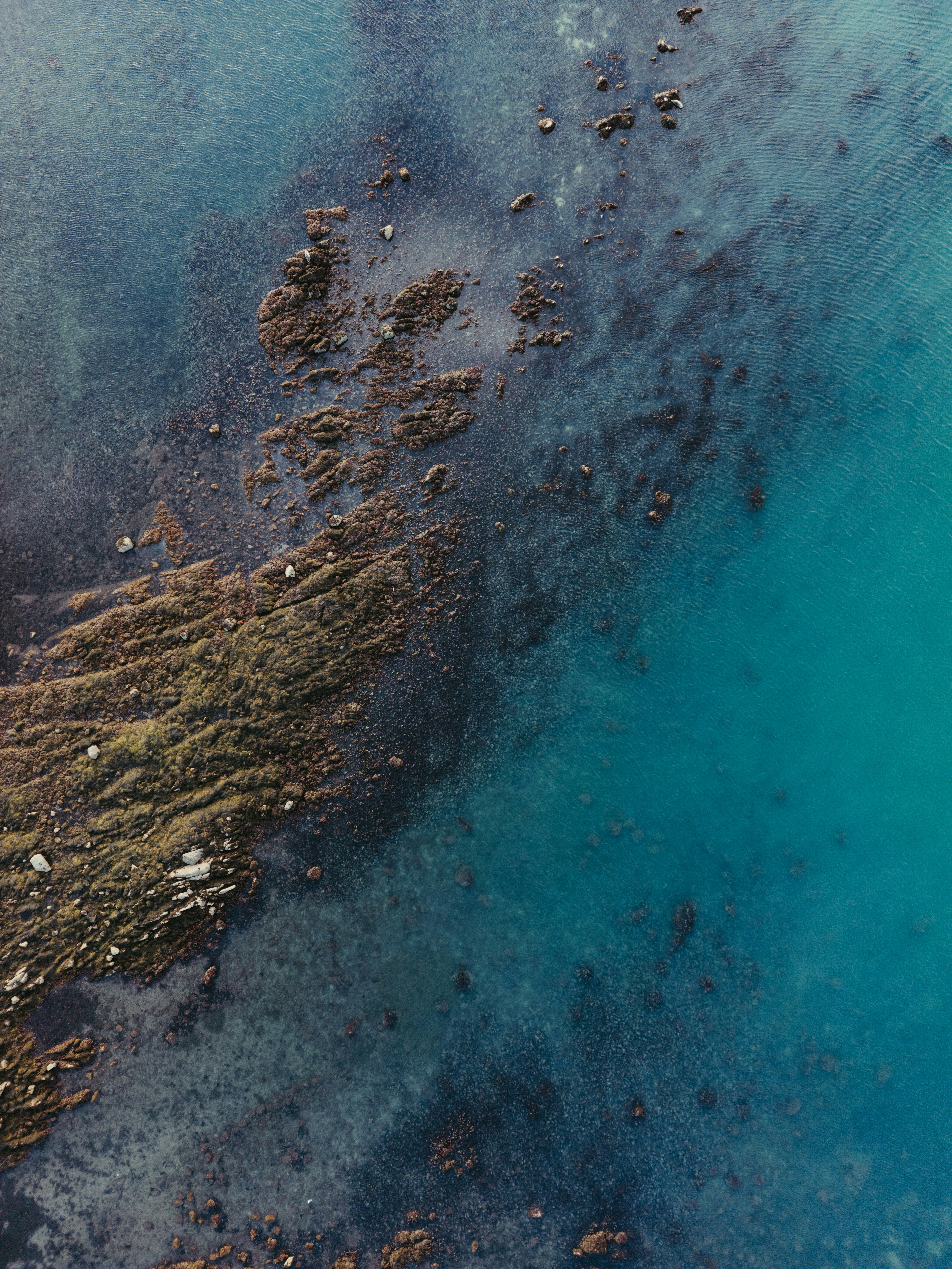 Photo by jonathanborba