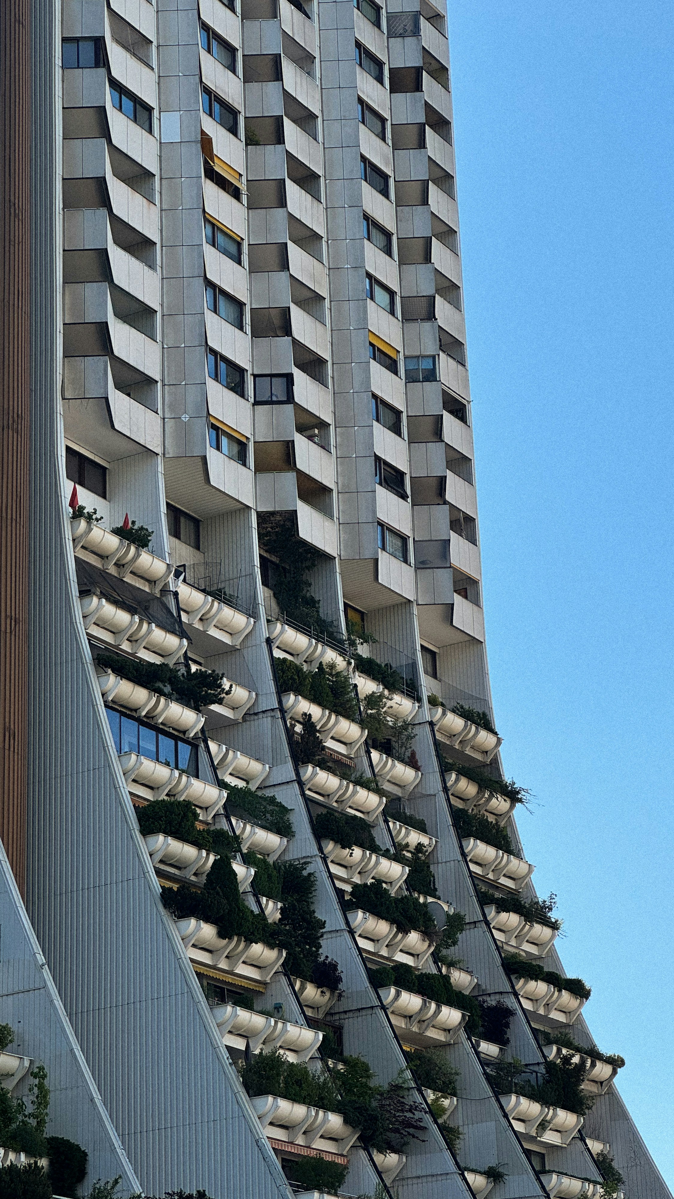 Photo by amina_frther